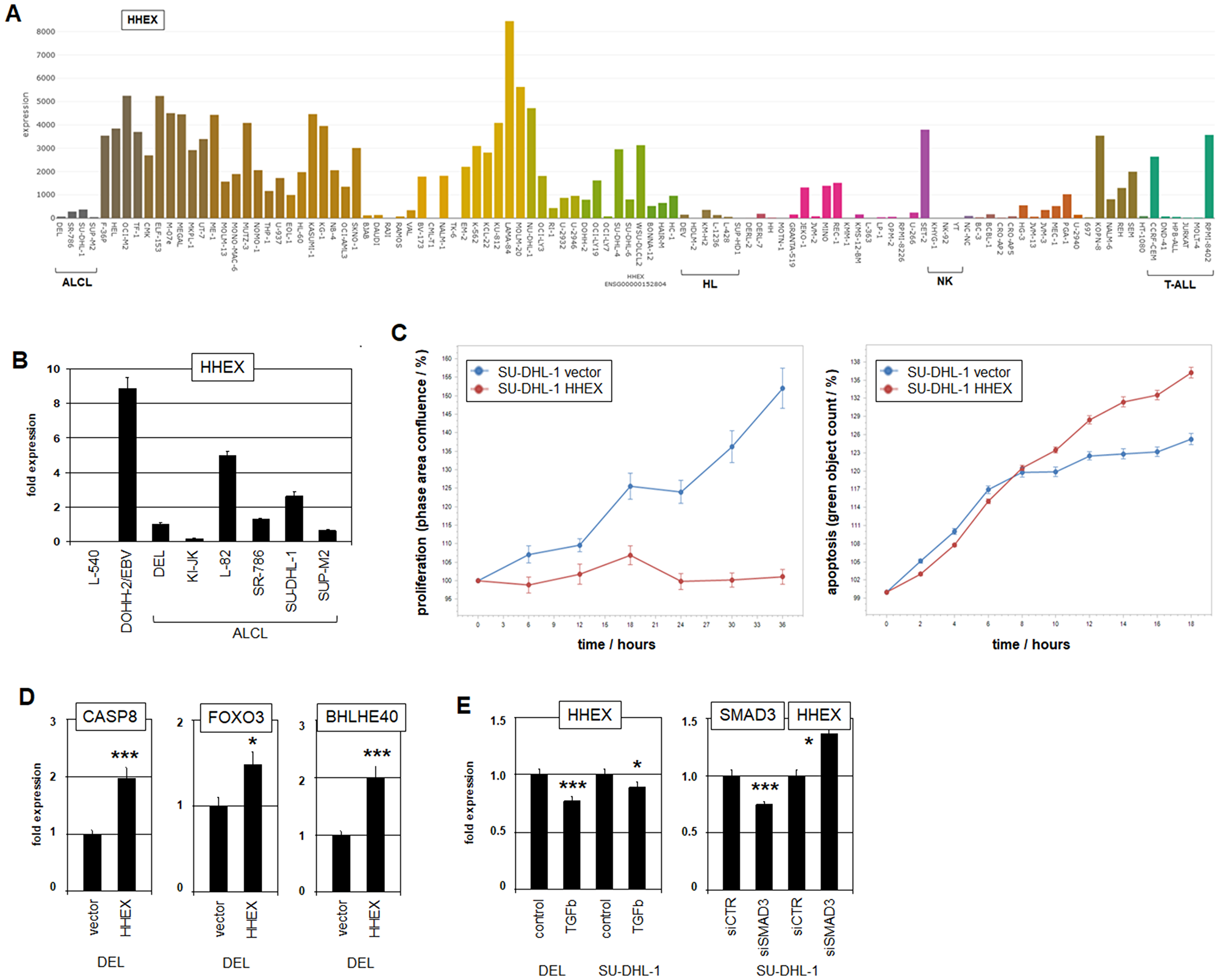 Expression, function and regulation of HHEX.