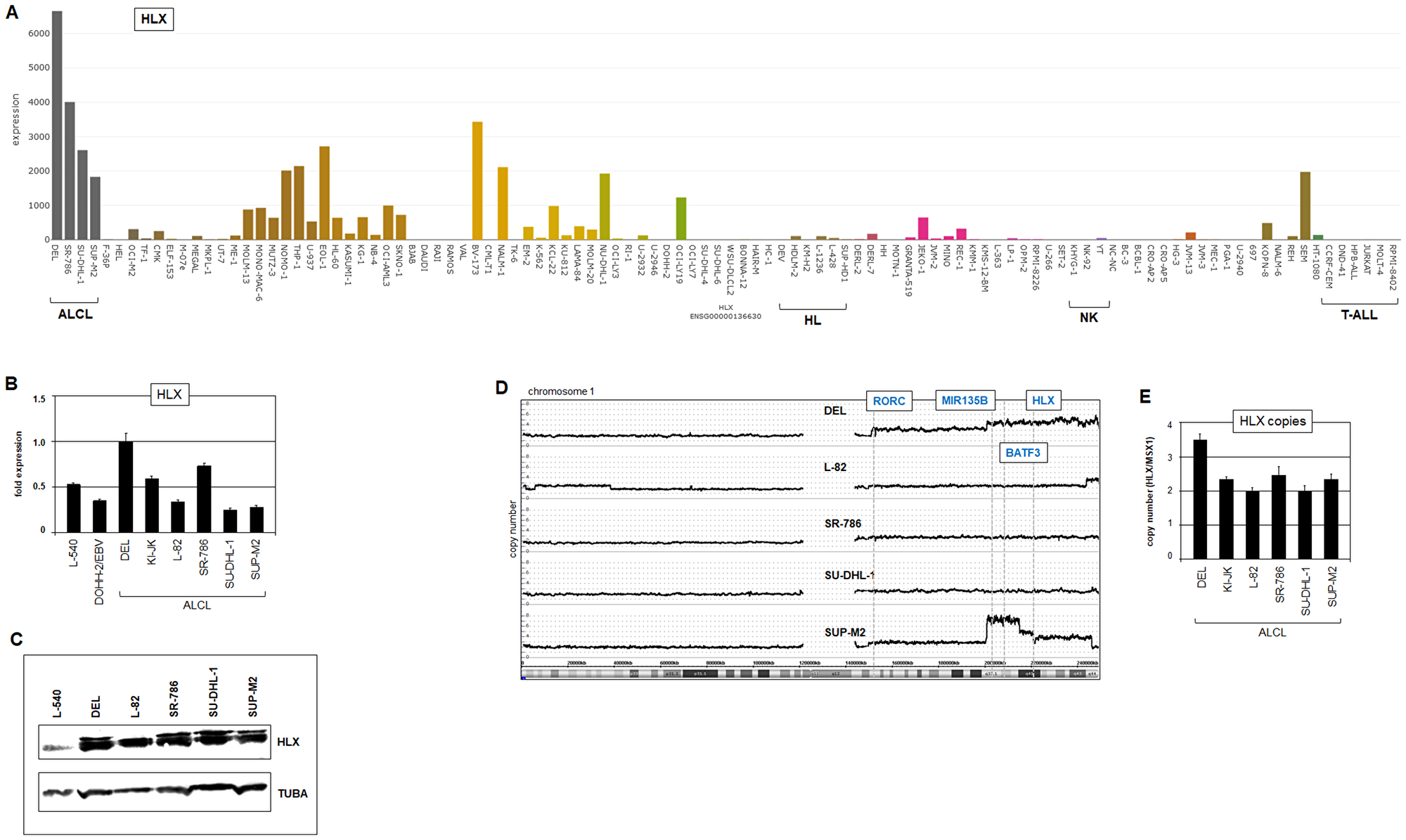 Expression and genomic aberrations of HLX.