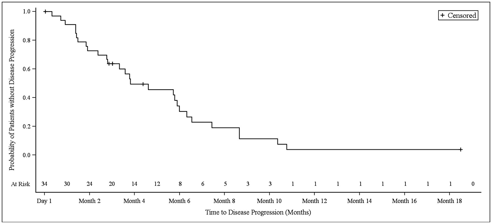 Kaplan–Meier plot of progression-free survival in NSCLC patients.