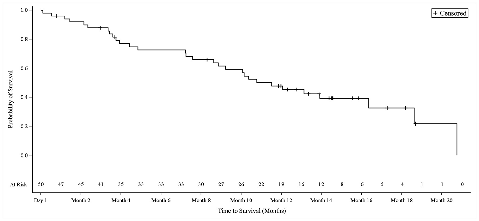 Kaplan–Meier plot of overall survival in biliary tract cancer patients.