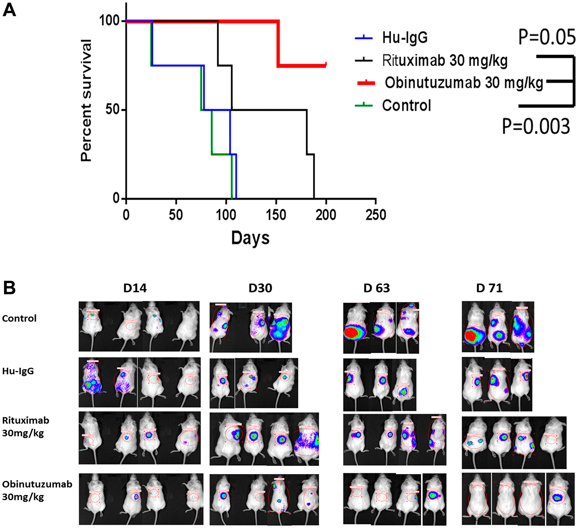 Effect of Obinutuzumab vs. Rituximab in PMBL NSG xenograft in-vivo.