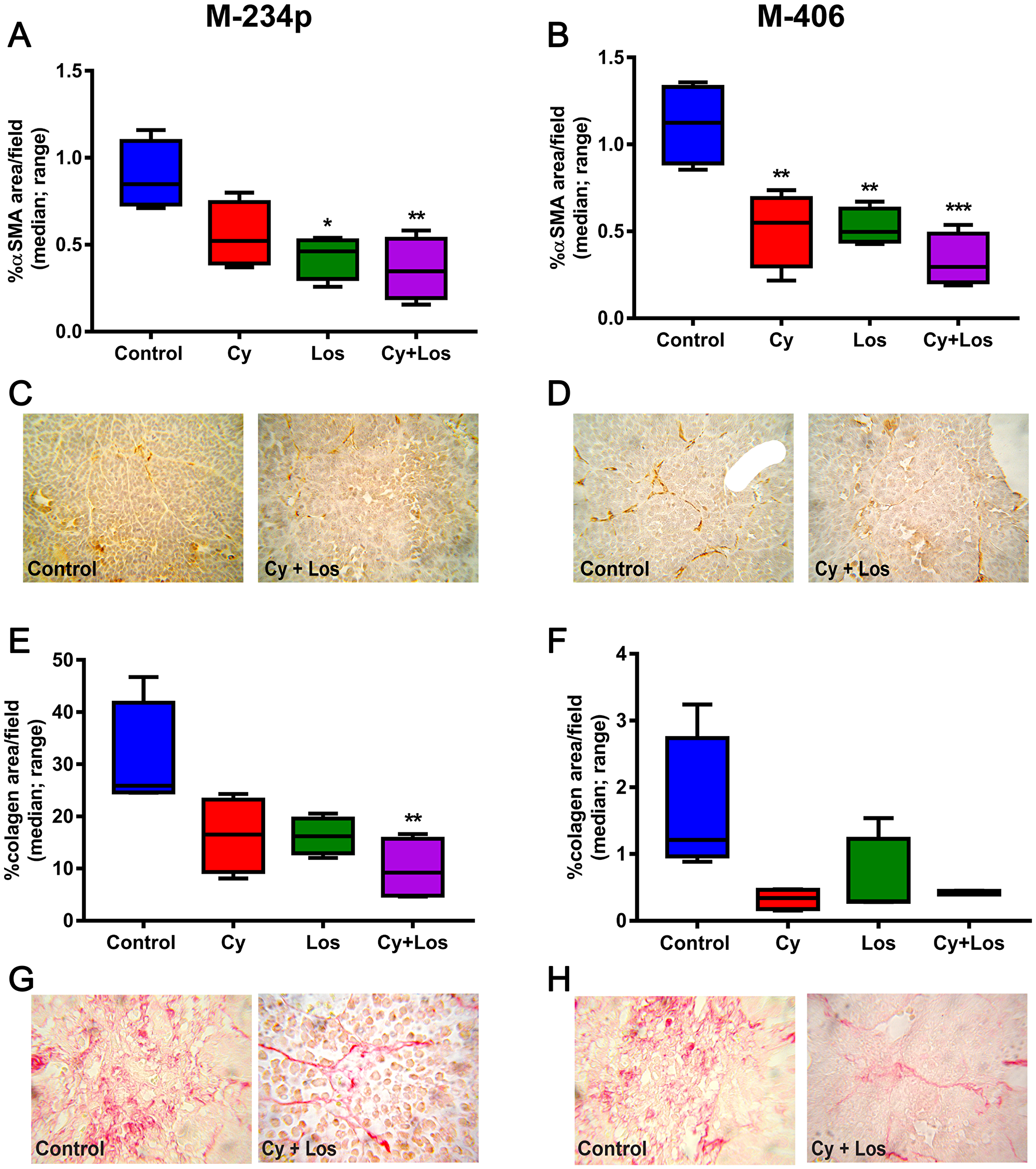 αSMA expression and collagen area.