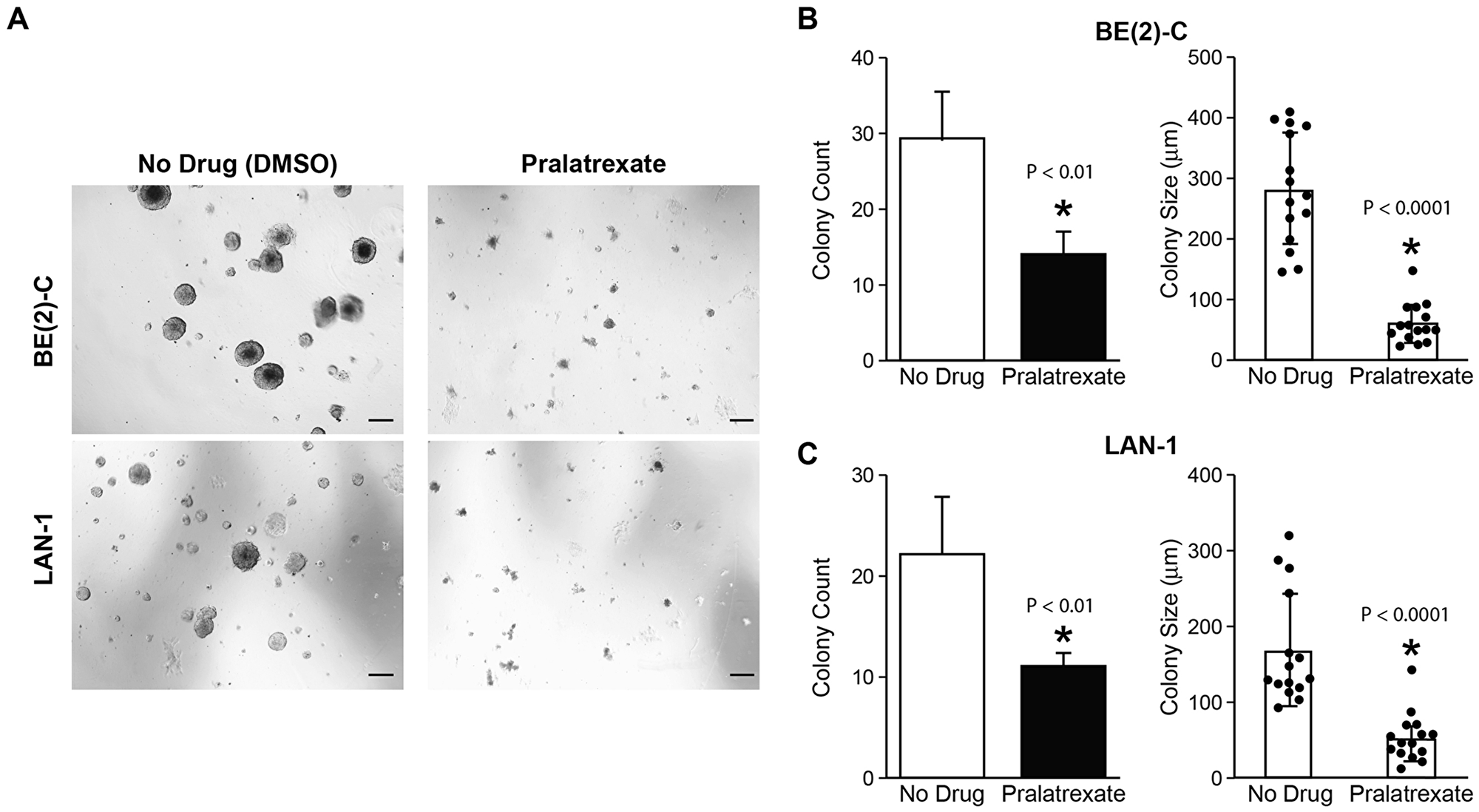 Pralatrexate inhibited neuroblastoma colony growth.