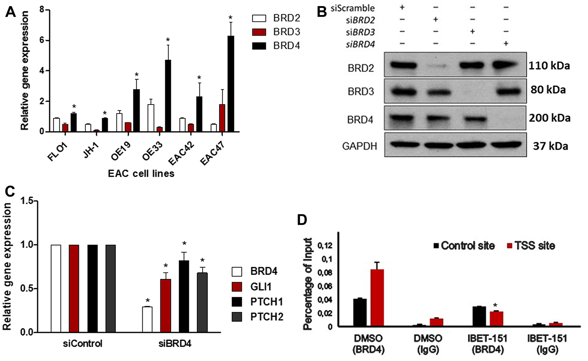 IBET-151 reduces BRD4 occupancy of the GLI1 locus.