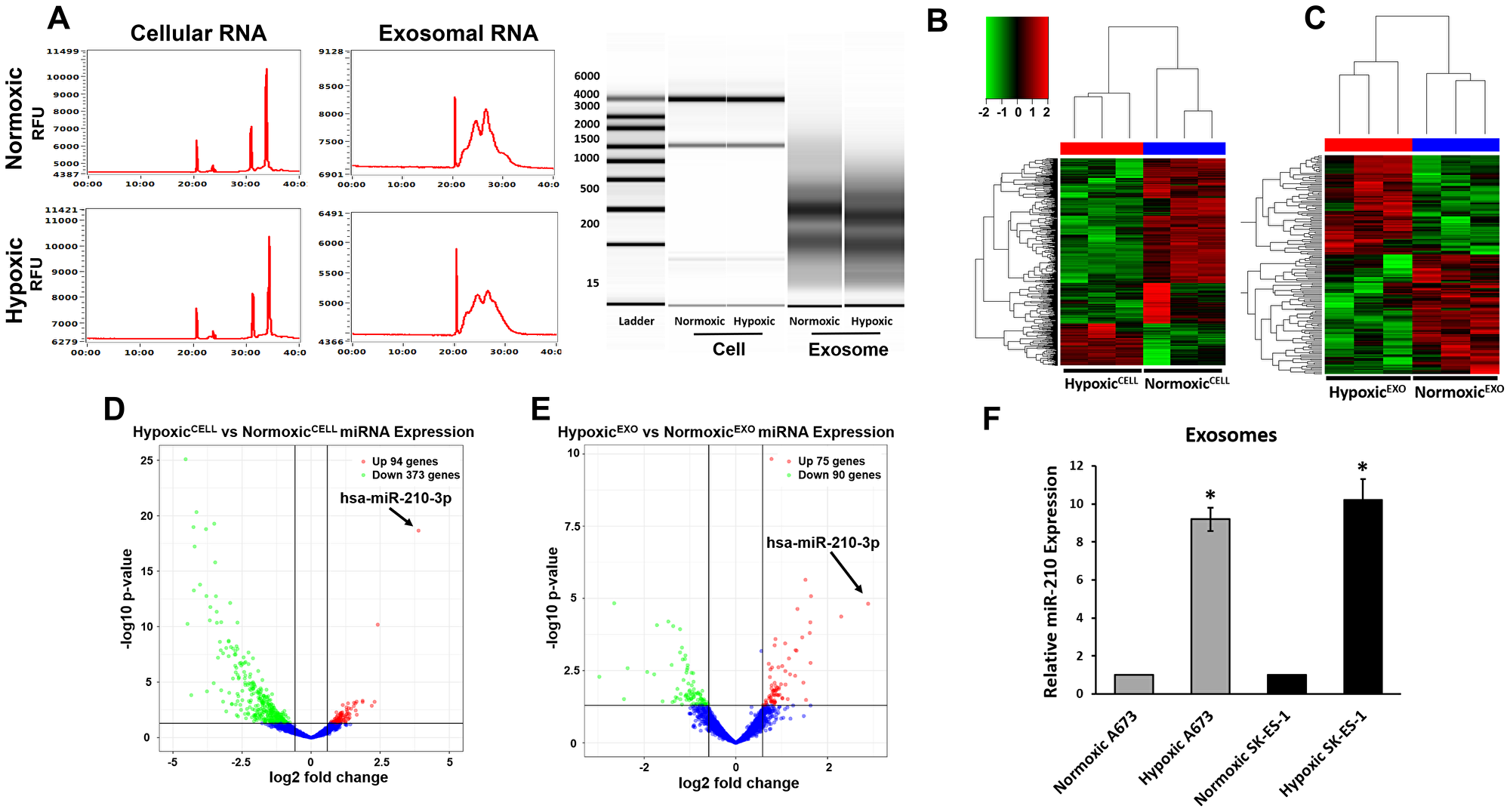 EWS HypoxicEXO carry specific hypoxia regulated miRNA.