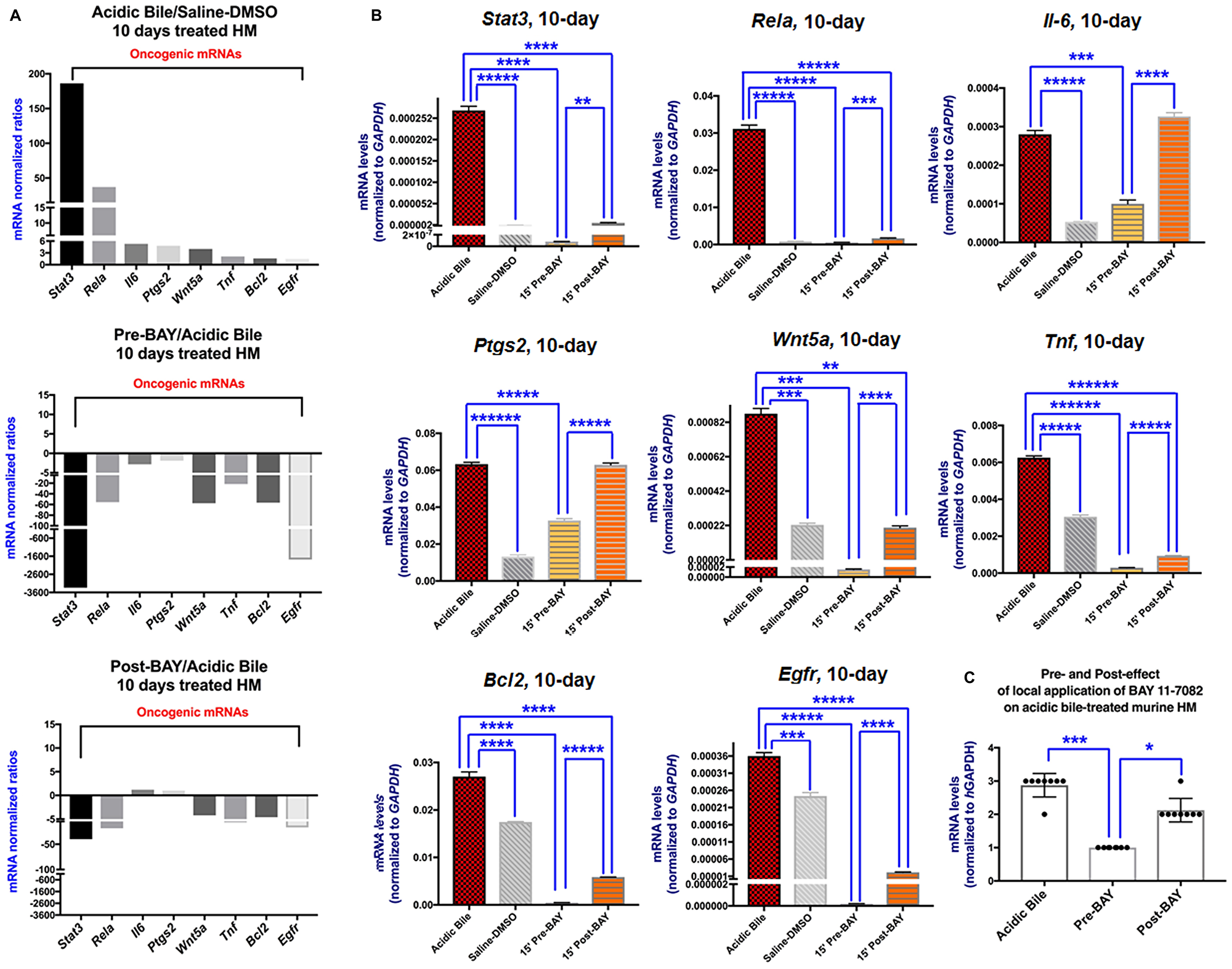 In vivo topical pre- or post-application of BAY 11-7082 prevents the acidic bile-induced transcriptional activation of NF-κB related genes with anti-apoptotic, cell proliferation, oncogenic or pro-inflammatory in 10-day exposed murine HM.
