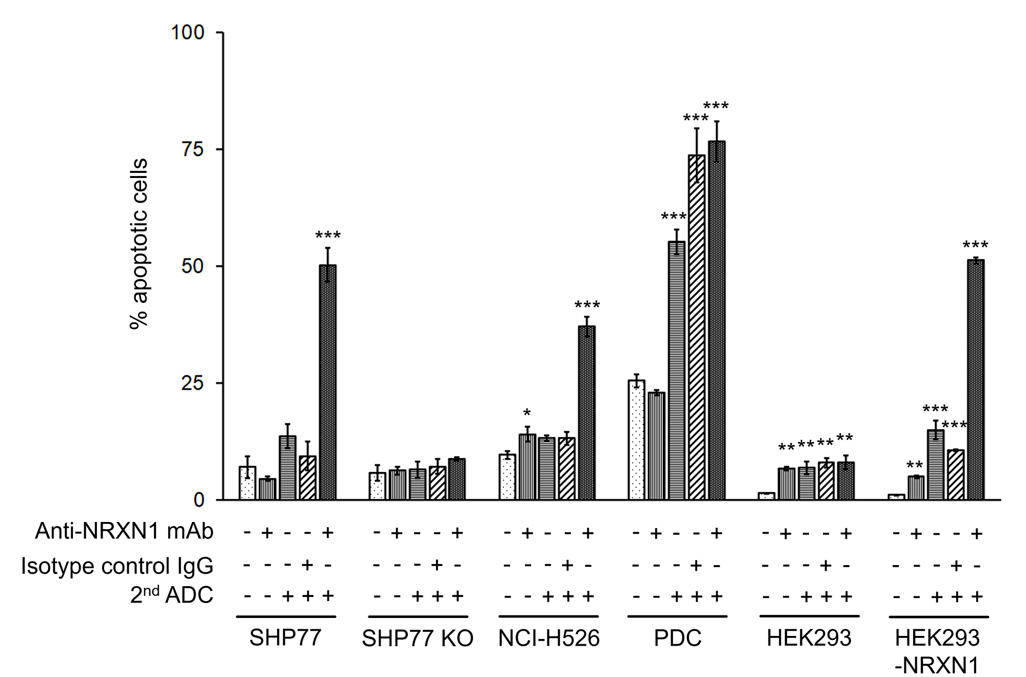 Apoptosis assay of NRXN1-targeted ADC at IC50 dose calculated by growth inhibition curves.