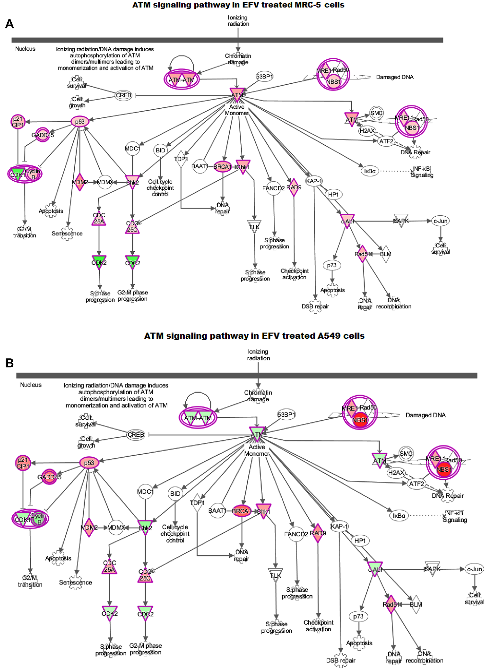 Figure 7: