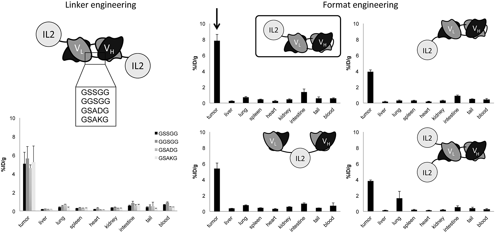 In vivo comparative quantitative biodistribution studies performed in immunocompetent mice bearing F9 teratocarcinoma tumors (n = 3 per group), using radioiodinated protein preparation.