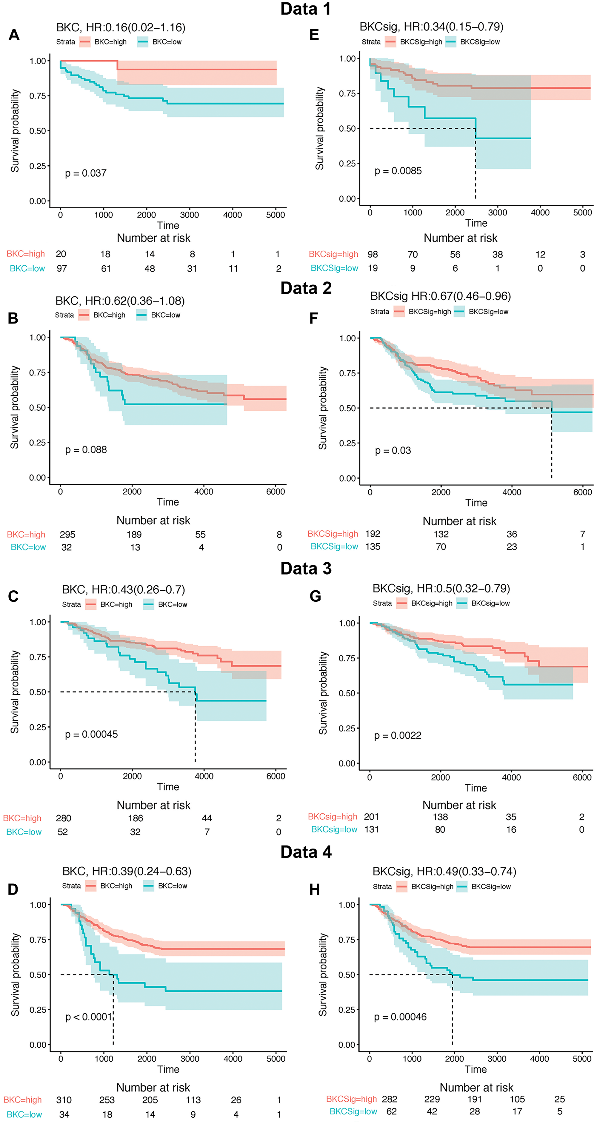 Kaplan–Meier (KM) survival analysis of BKC gene and BKCsig gene signature using four independent publicly available breast cancer relapse free survival patient cohorts named as Data 1, Data 2, Data 3, and Data 4.