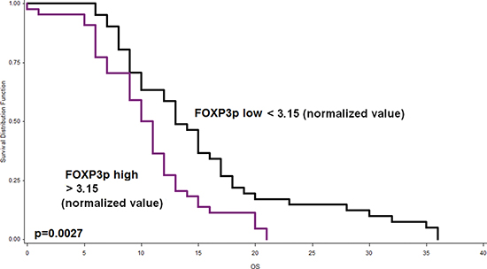 Kaplan-Meier curve indicating the prognostic effect of peritumoral FOXP3+T-cell infiltrates on outcome of PDAC patients.