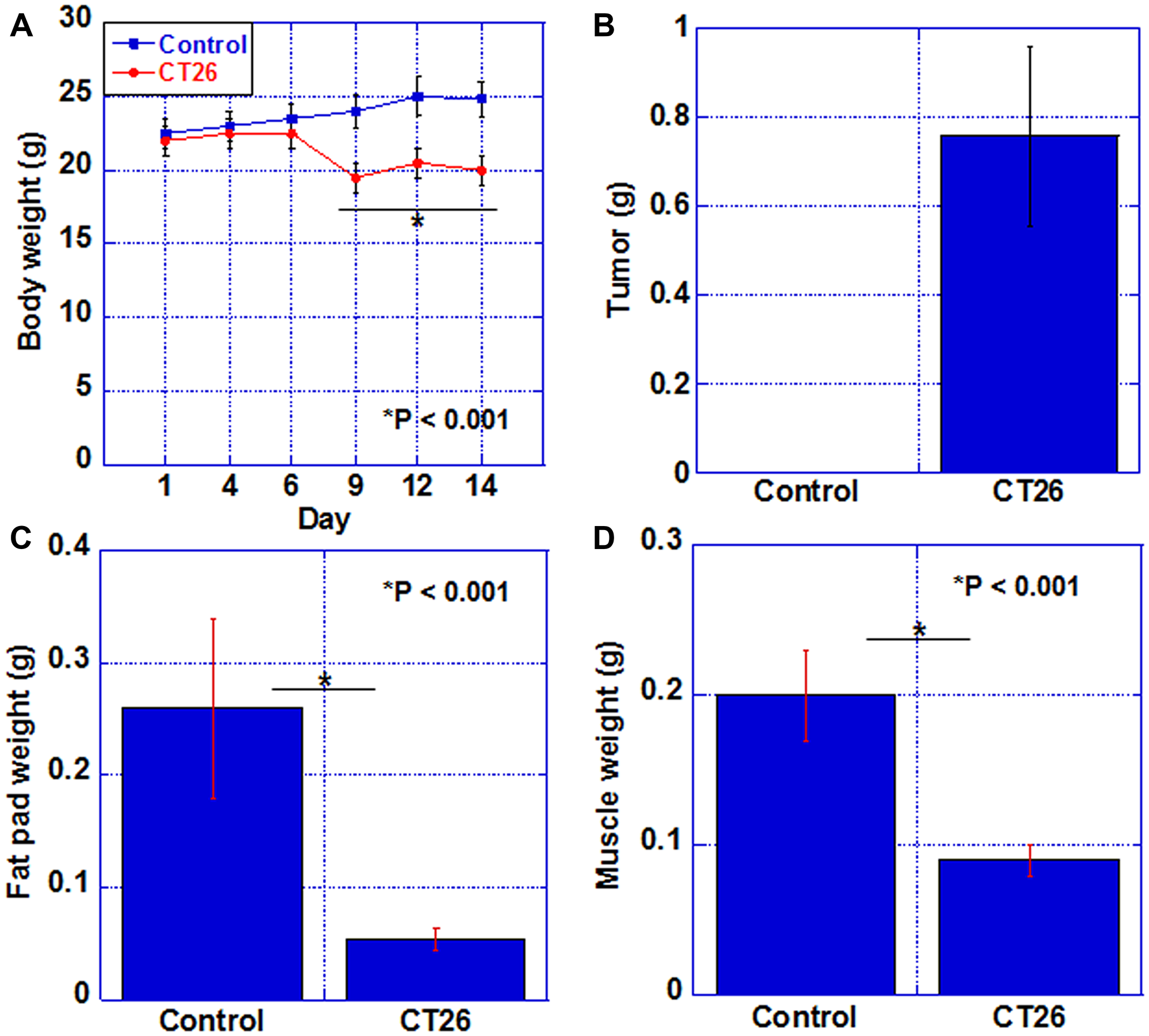 Cachexic features of CT26-inoculated BALB/c mice.