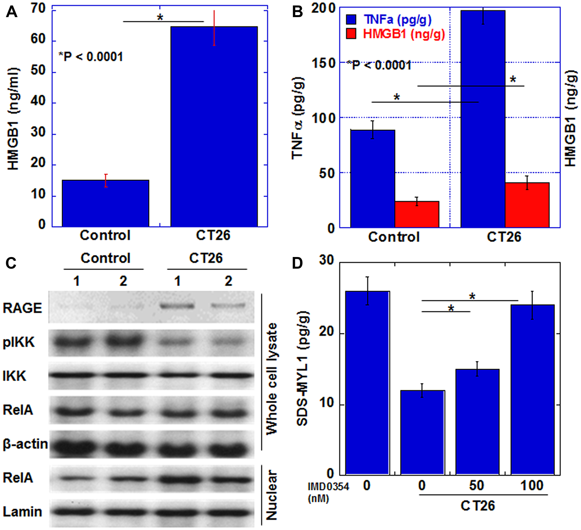 Myocardial cytokines and signals in the CT26-inoculated BALB/c mice.