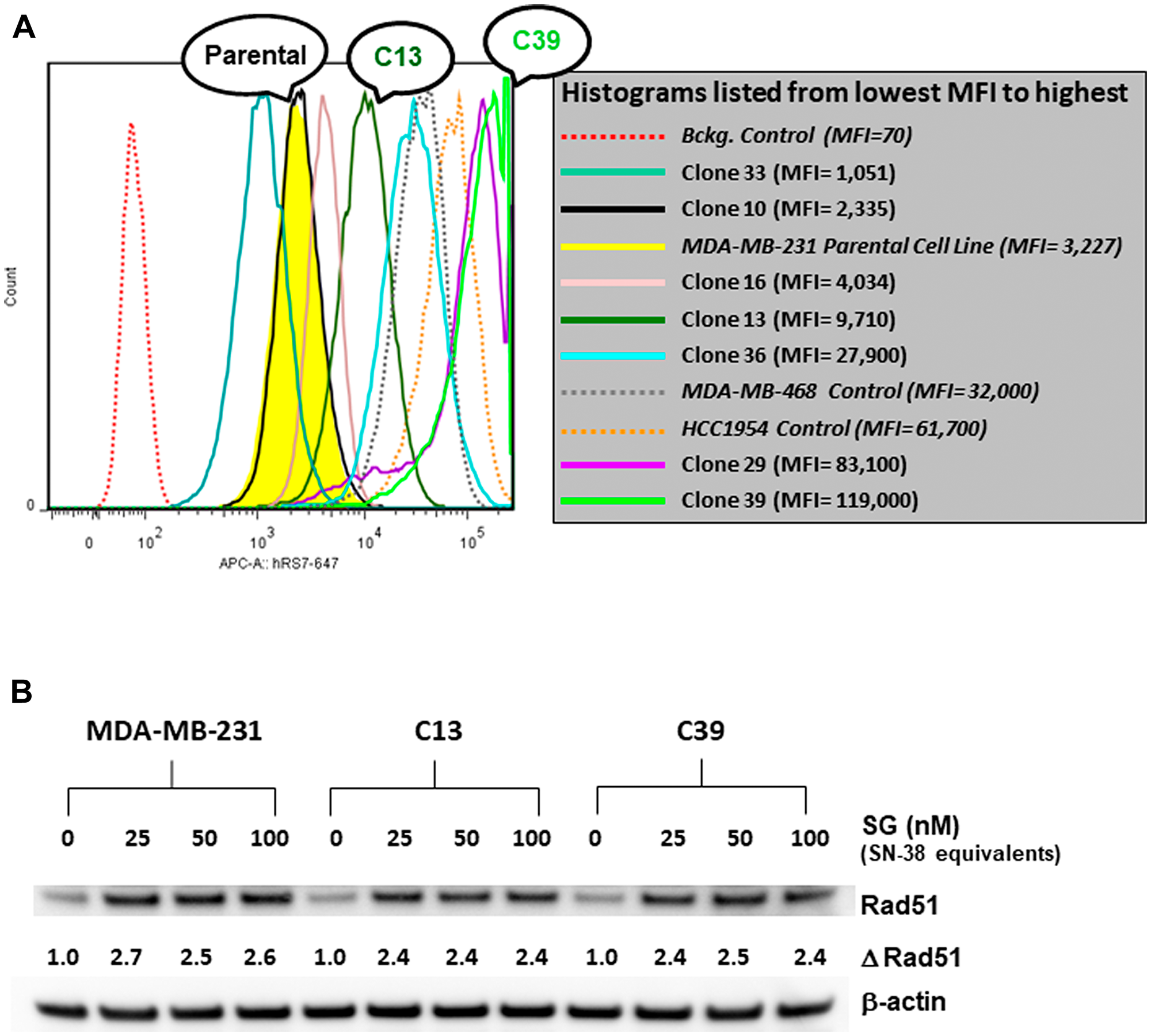 FACS analysis of various MDA-MB-231 Trop-2-transfectants and assessment of SG-mediated changes in Rad51 expression.