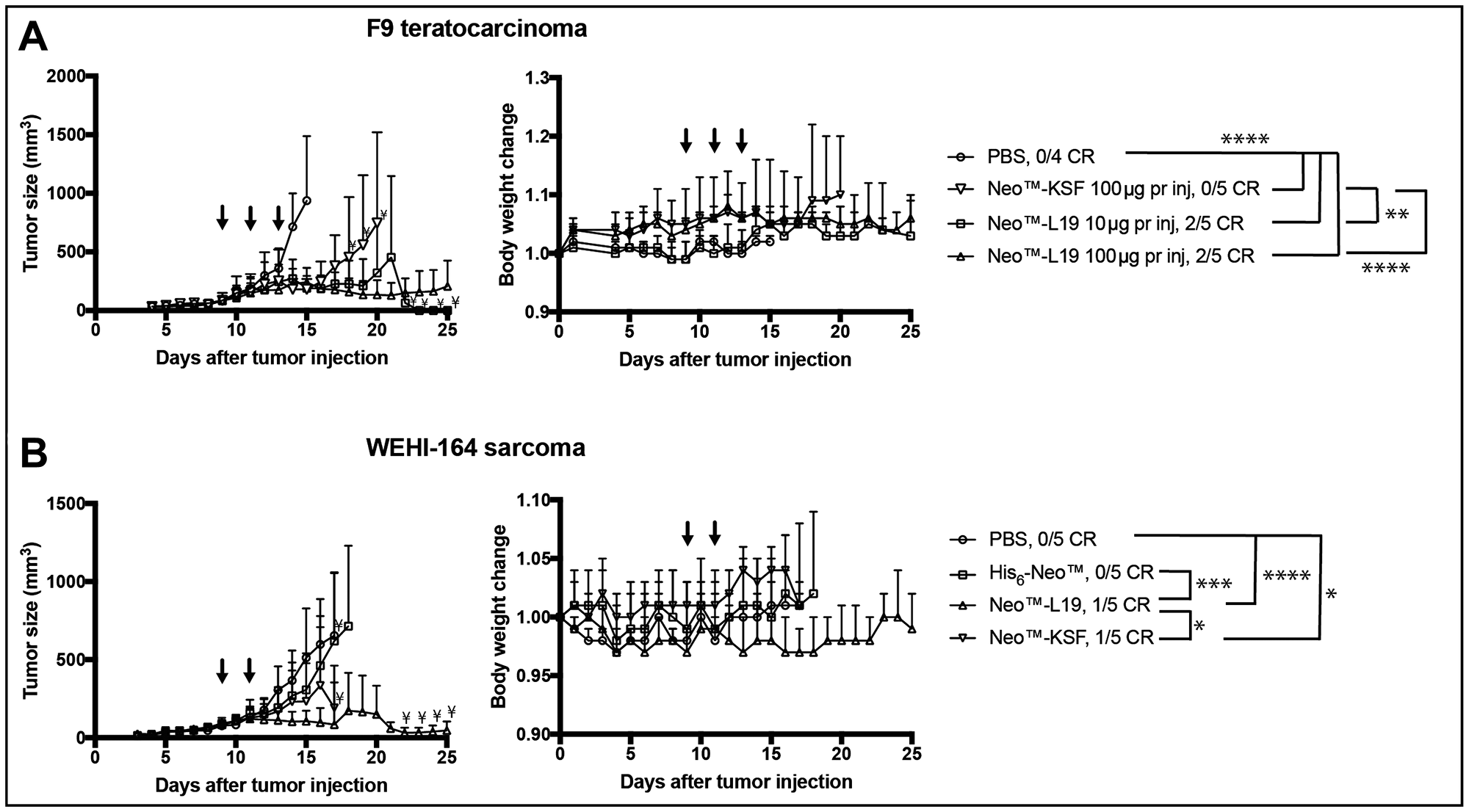 Activity of Neo™-L19 in F9 teratocarcinoma or WEHI-164 fibrosarcoma tumor bearing mice.