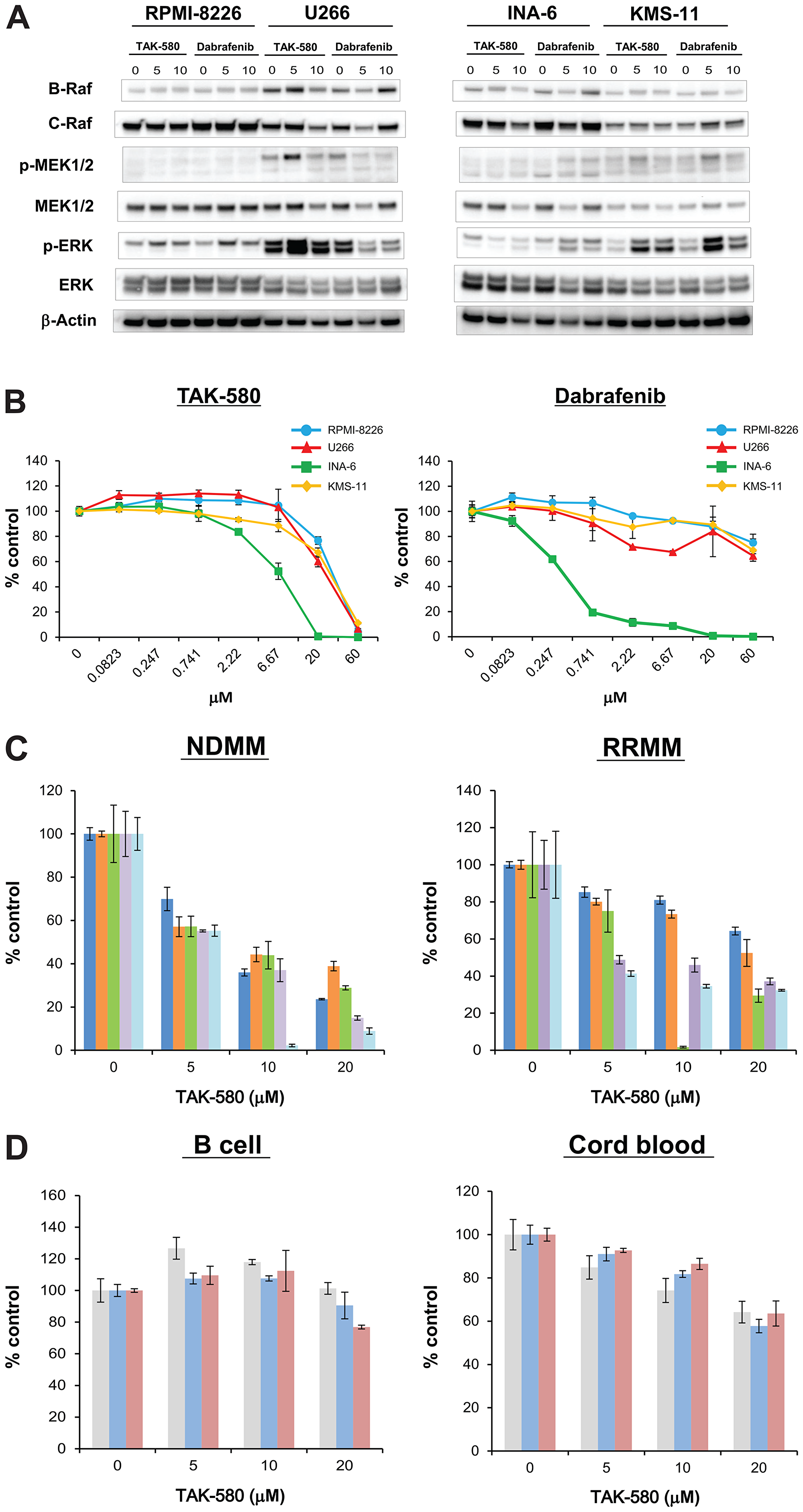 TAK-580 specifically inhibits the RAS-RAF-MEK-ERK pathway and induces anti-myeloma effects in MM cells.