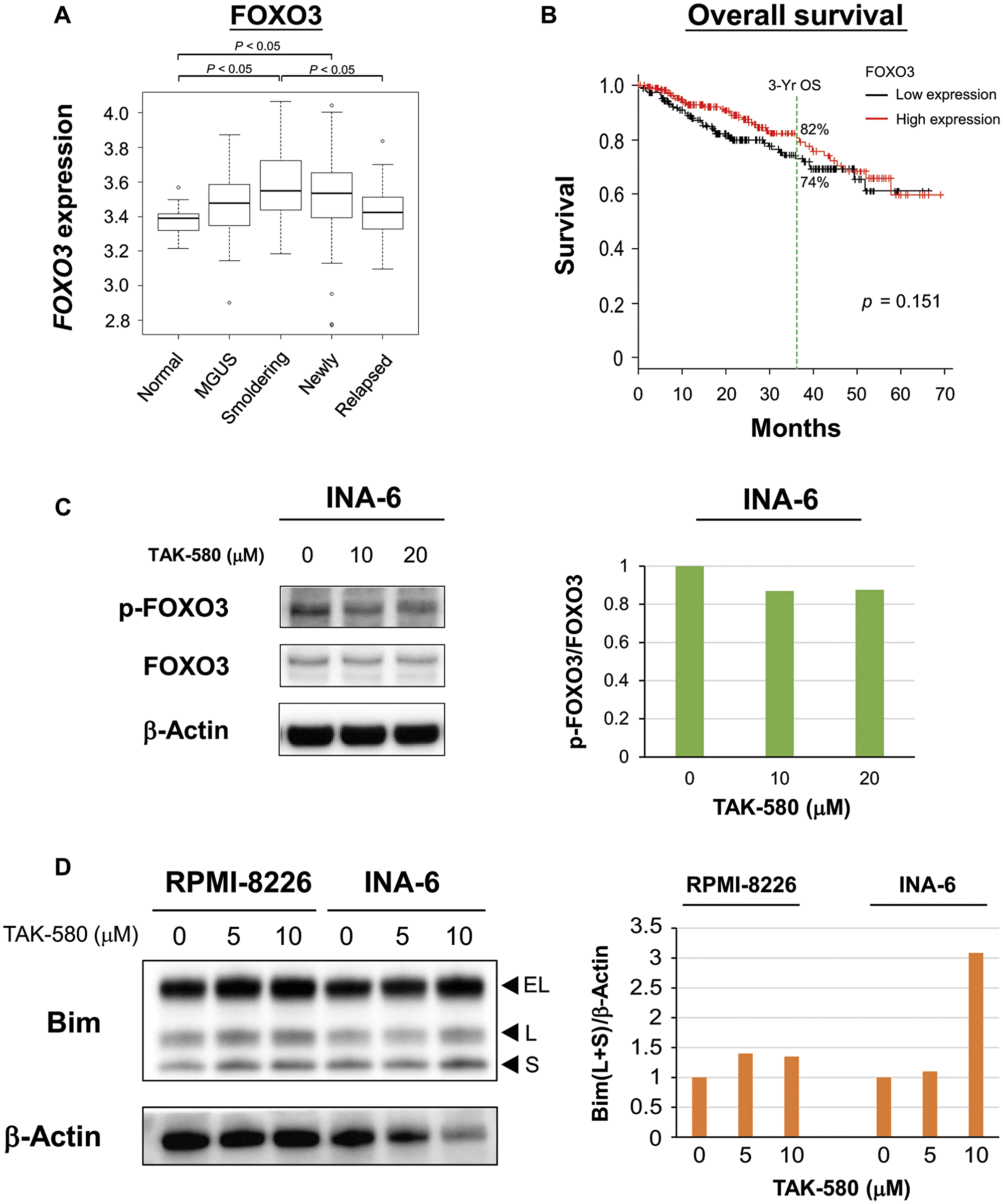 TAK-580 induces apoptosis via the FOXO3-Bim axis in MM cells.