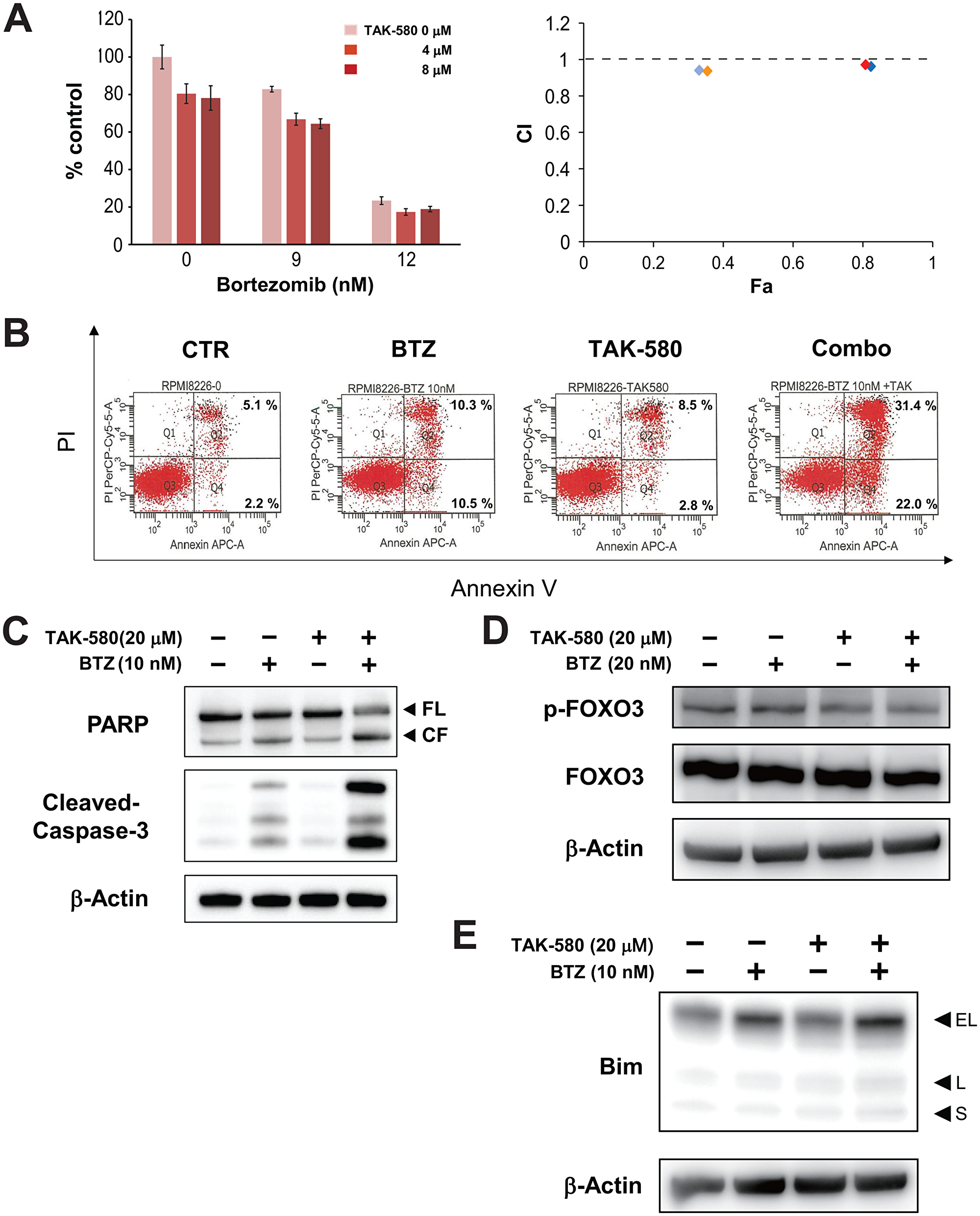 The combination of TAK-580 and BTZ triggers synergistic anti-MM activity.