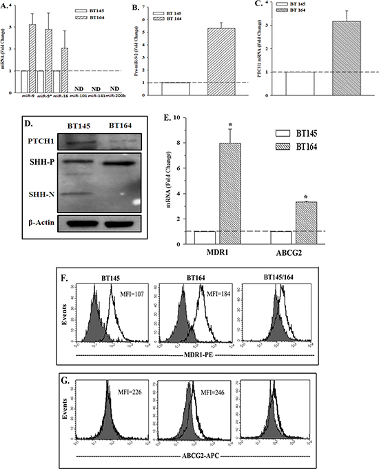 Expressions of PTCH1, miR-9-2 and drug transporters in na&#x00EF;ve and recurrent GBM cells from patients.