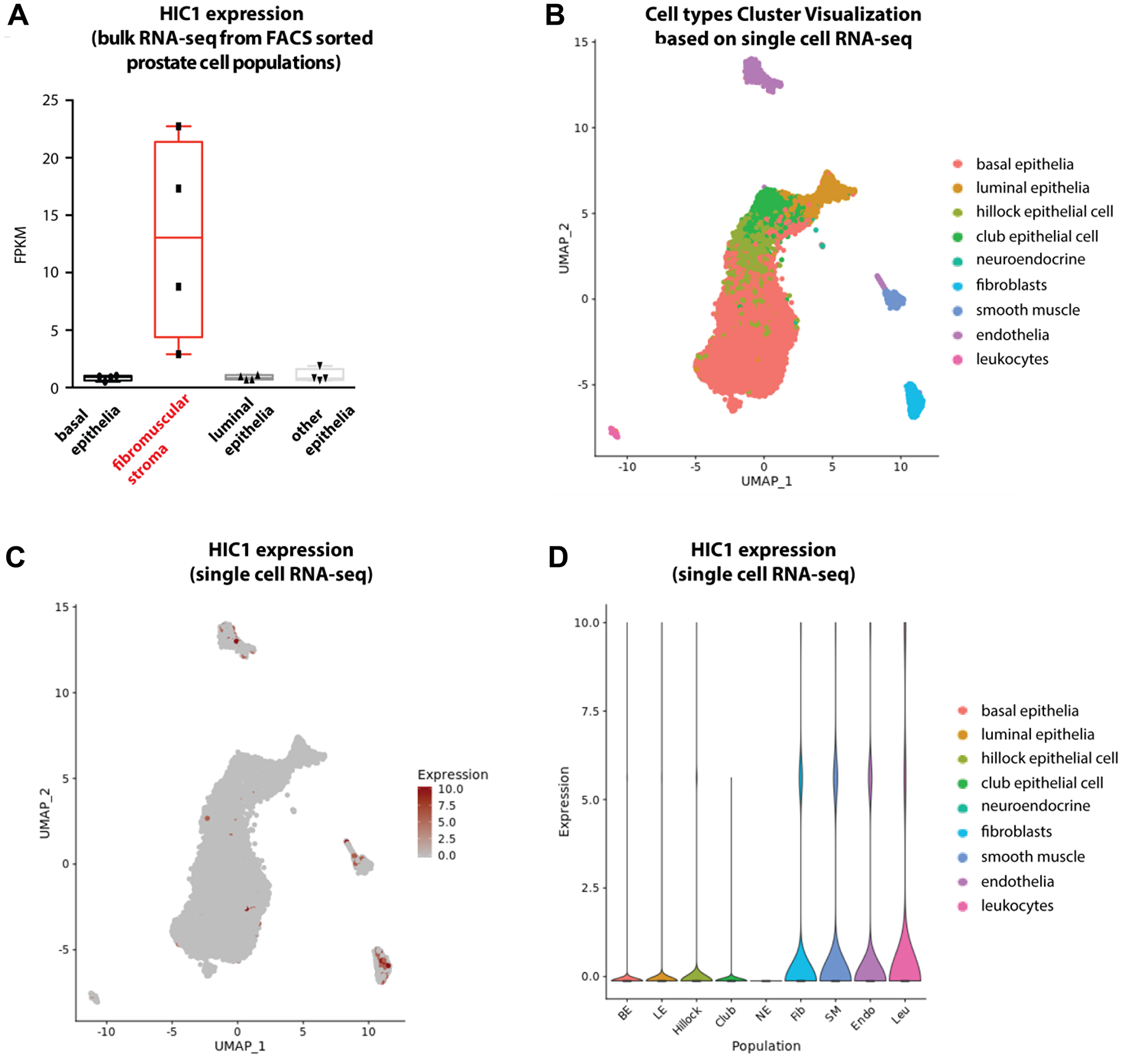 Analyses of HIC1 expression in normal human prostate tissue by bulk RNA-sequencing and single cell RNA-sequencing.