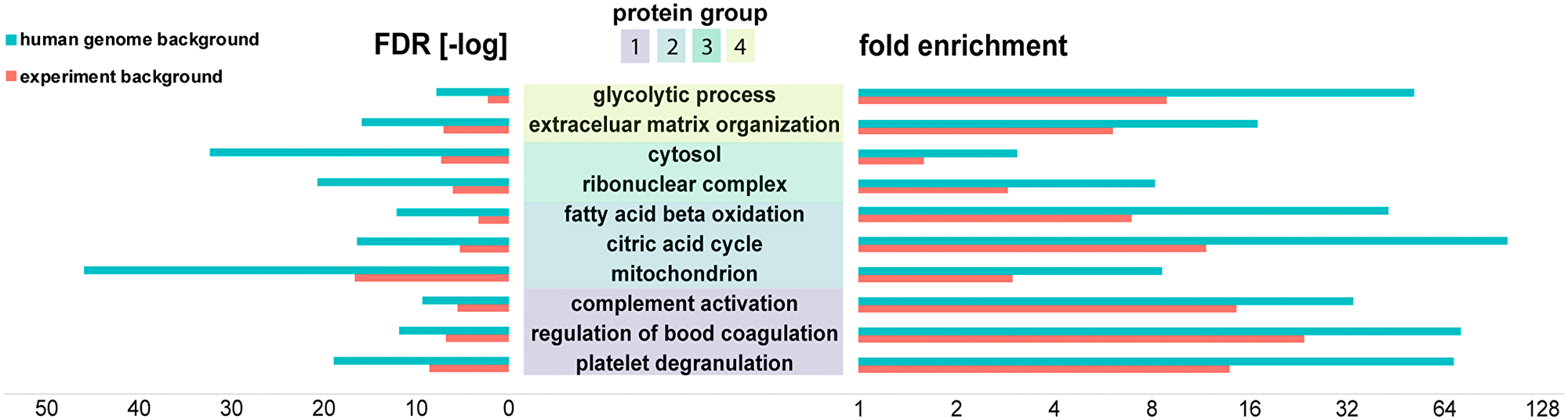 Bioinformatics analysis (PantherDB) identified enriched biochemical functions in renal tumors.