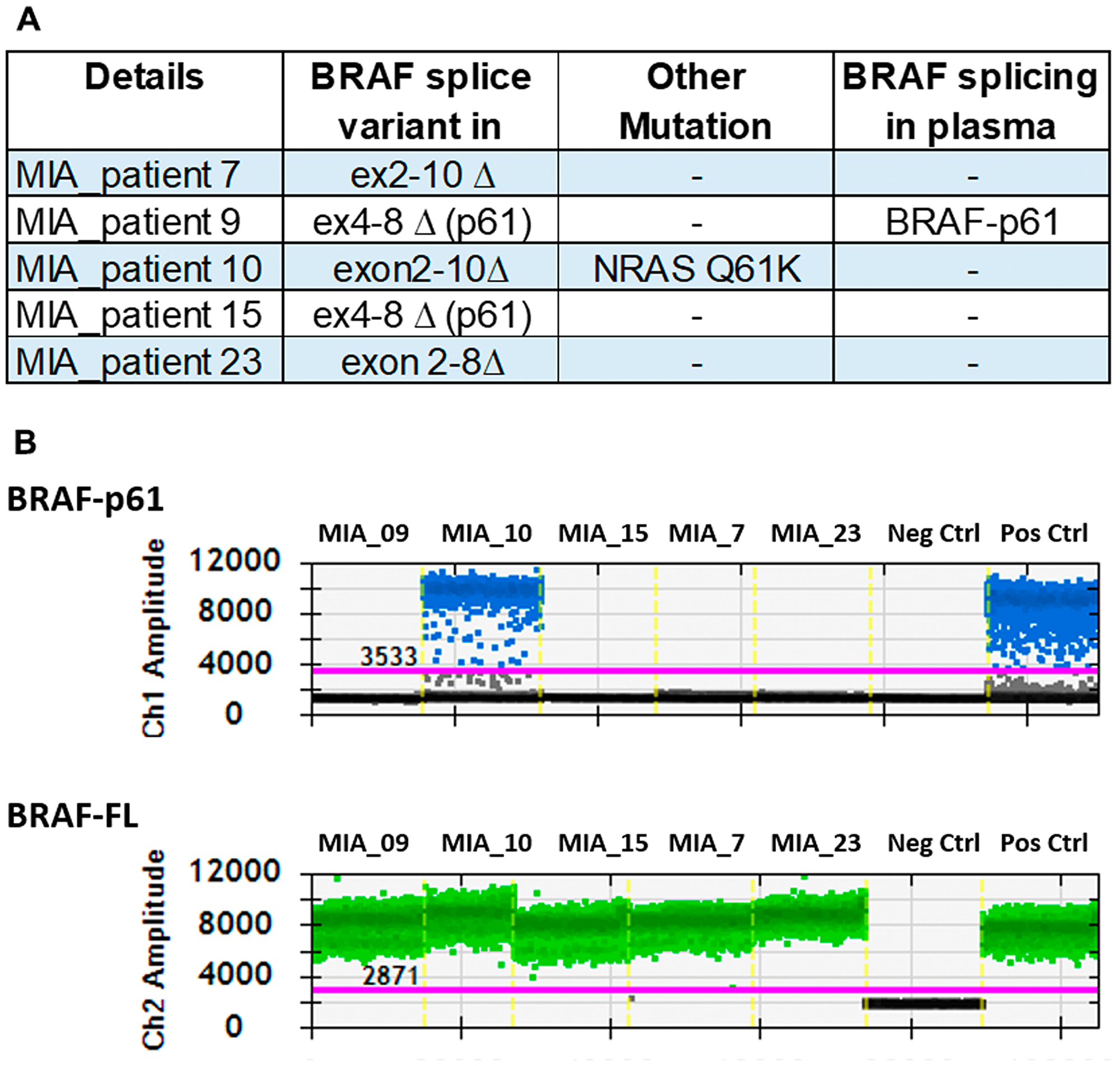 Detection of BRAF splice variants in patients known to have the splice variant.