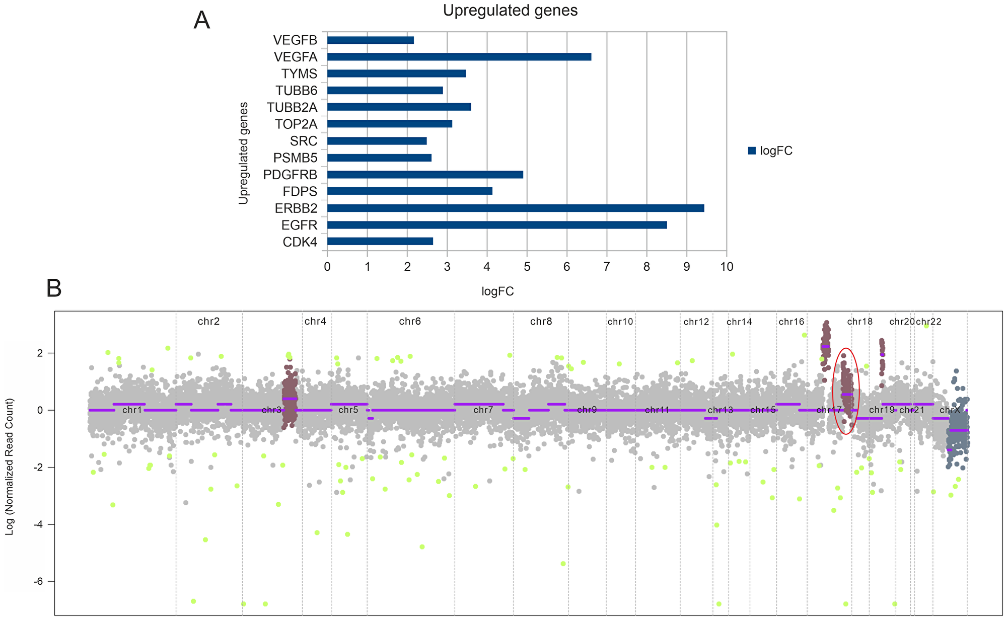 Figure 2: