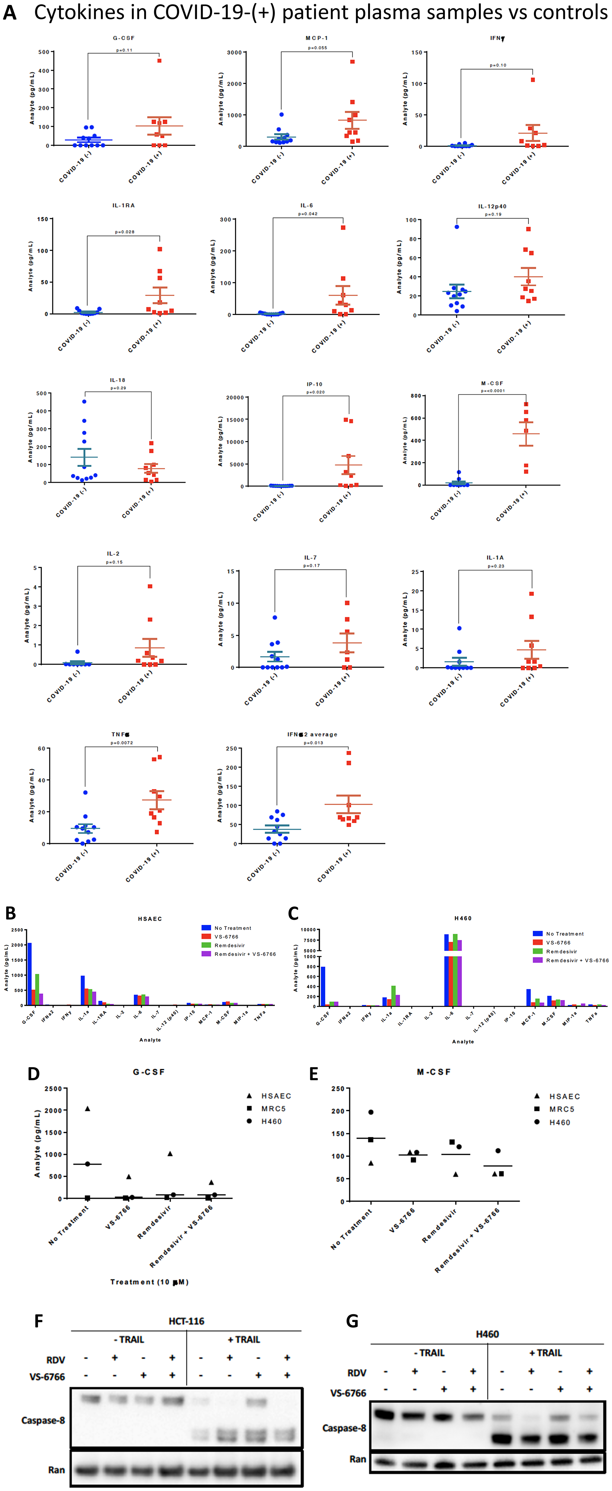 Increased cytokines in COVID-(+) patient plasma and demonstration that VS-6766 plus remdesivir reduces cytokine secretion while allowing TRAIL mediated killing of target cells.