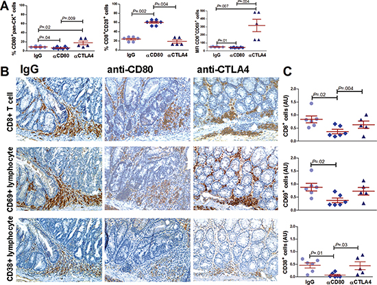 Effect of CD80 signaling modulation on CD8+ lymphocyte activation in a mouse model of inflammation-driven colon carcinogenesis.