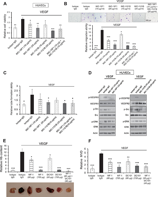 Blockade of VEGFR1 and VEGFR2 inhibited VEGF-induced angiogenesis in vitro and in vivo.