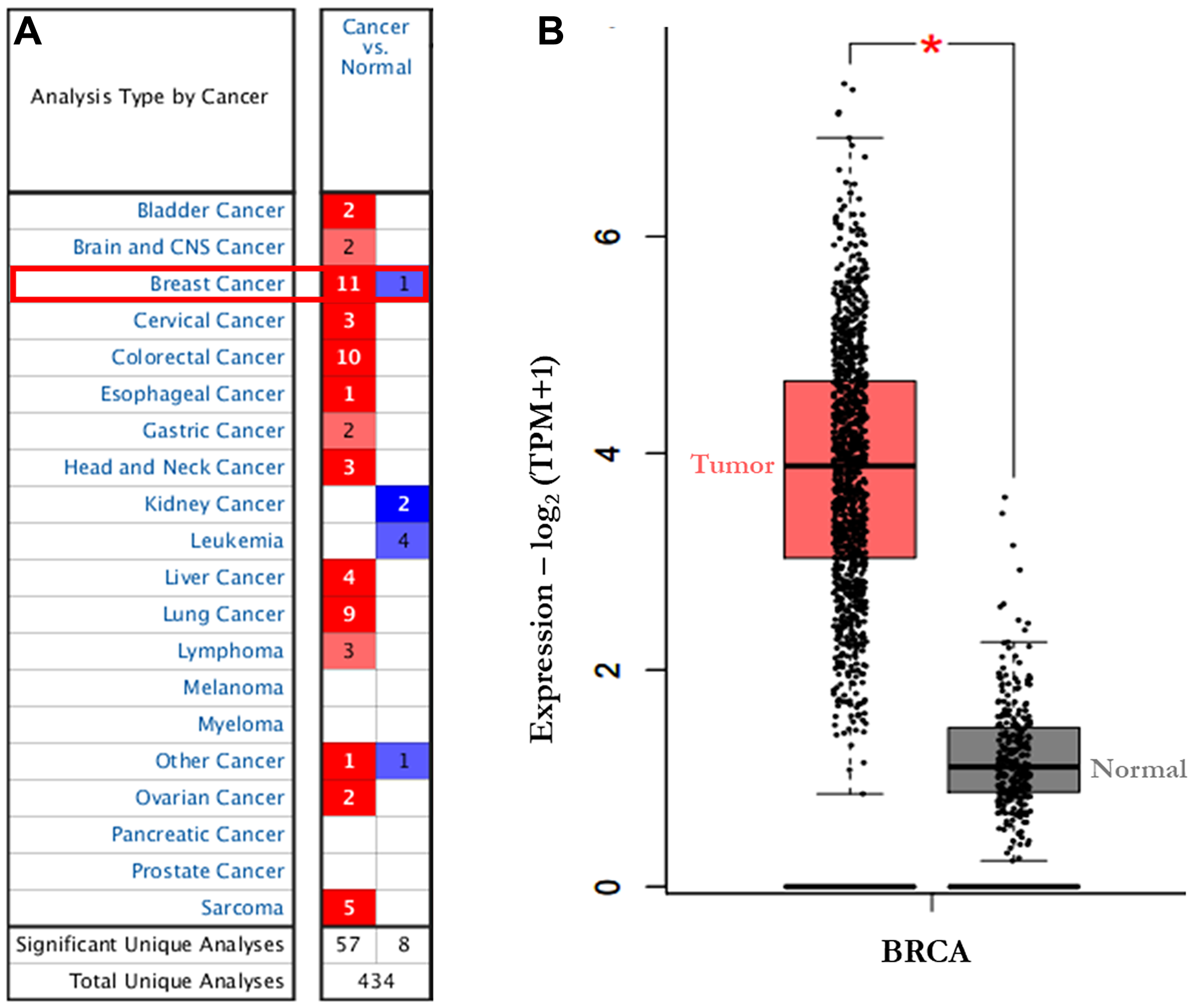 The transcription levels of AURKA in different types of cancers (Oncomine).