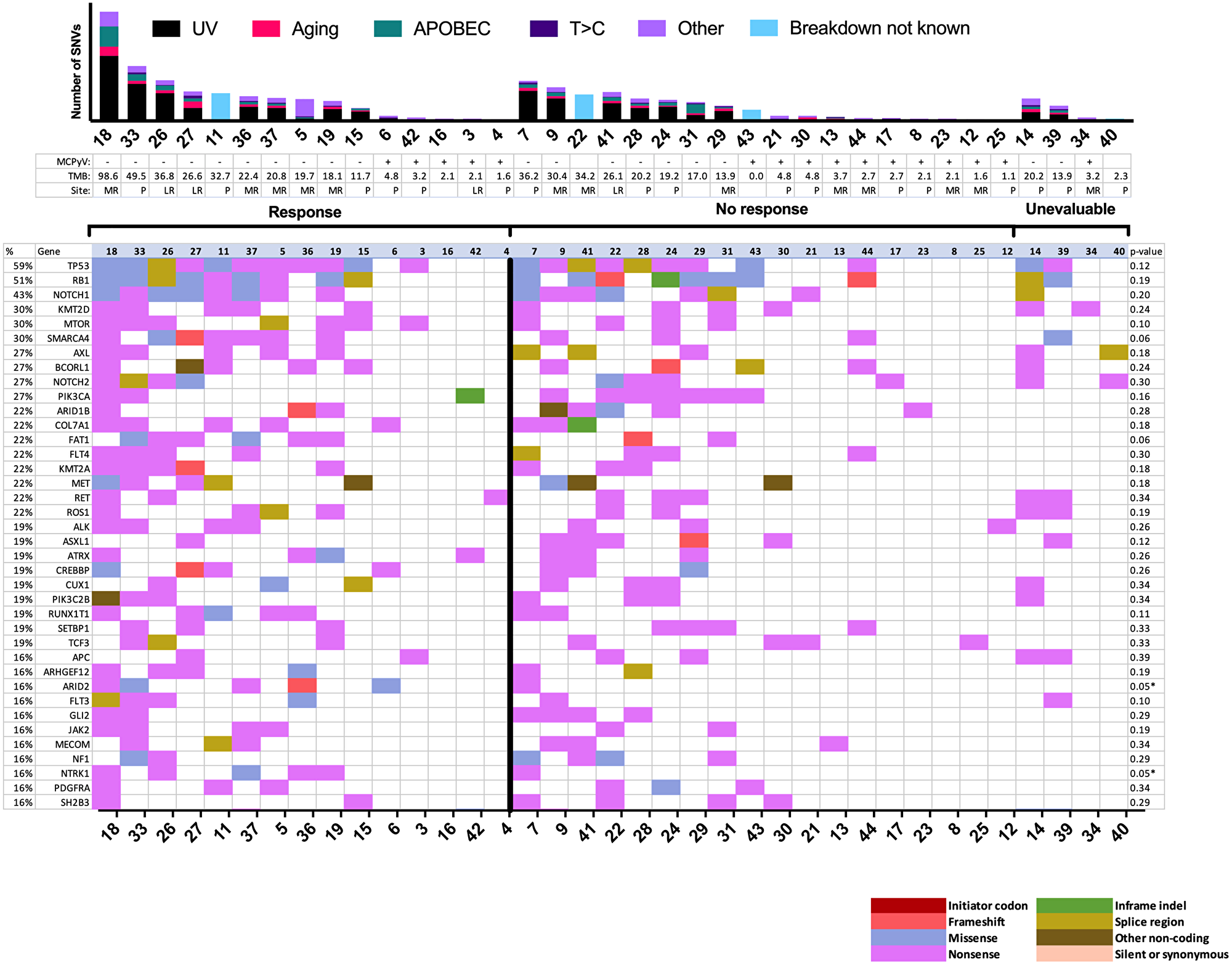 Mutational landscape by response to immune checkpoint inhibitor.