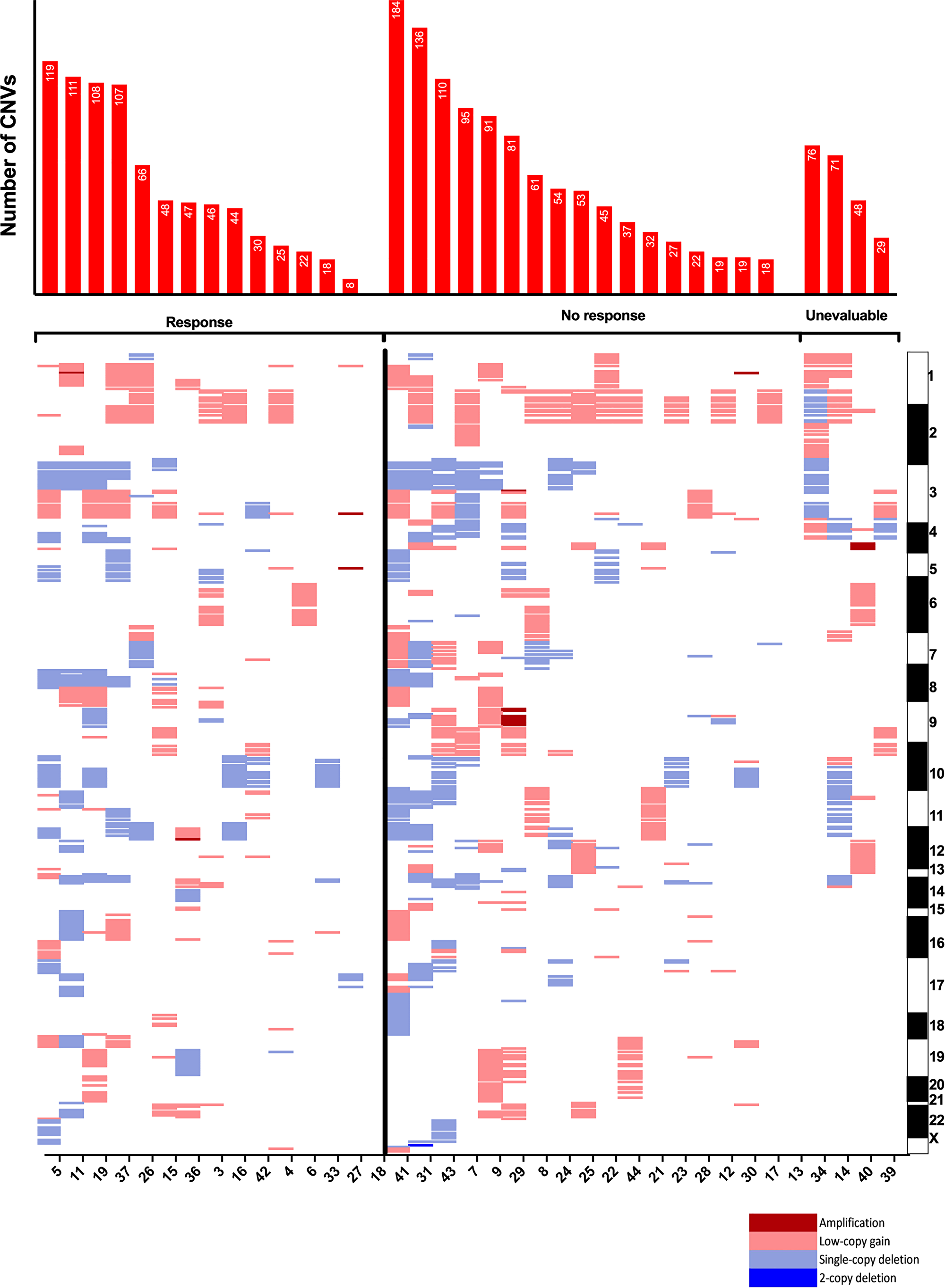 Copy-number variants by response to immune checkpoint inhibitor.