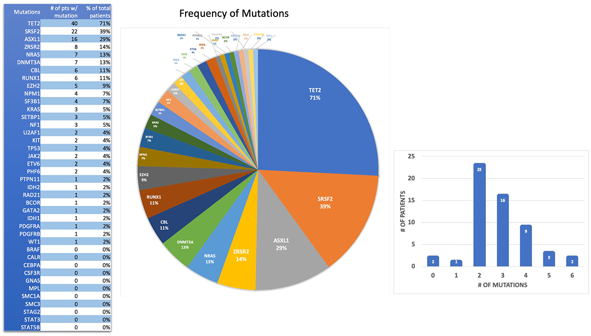 Spectrum and frequency of gene mutations in 56 Hispanic CMML patients.