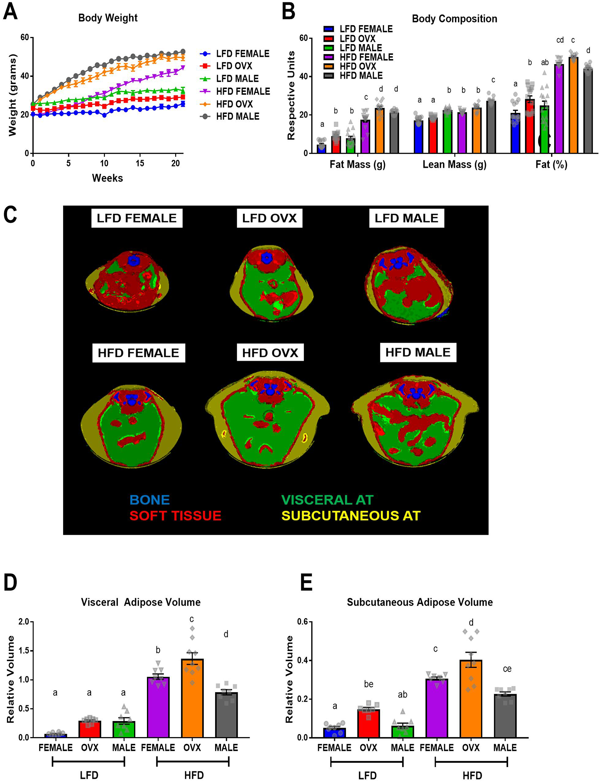 Sex disparities in body weight, body composition and adipose tissue distribution after dietary treatment.