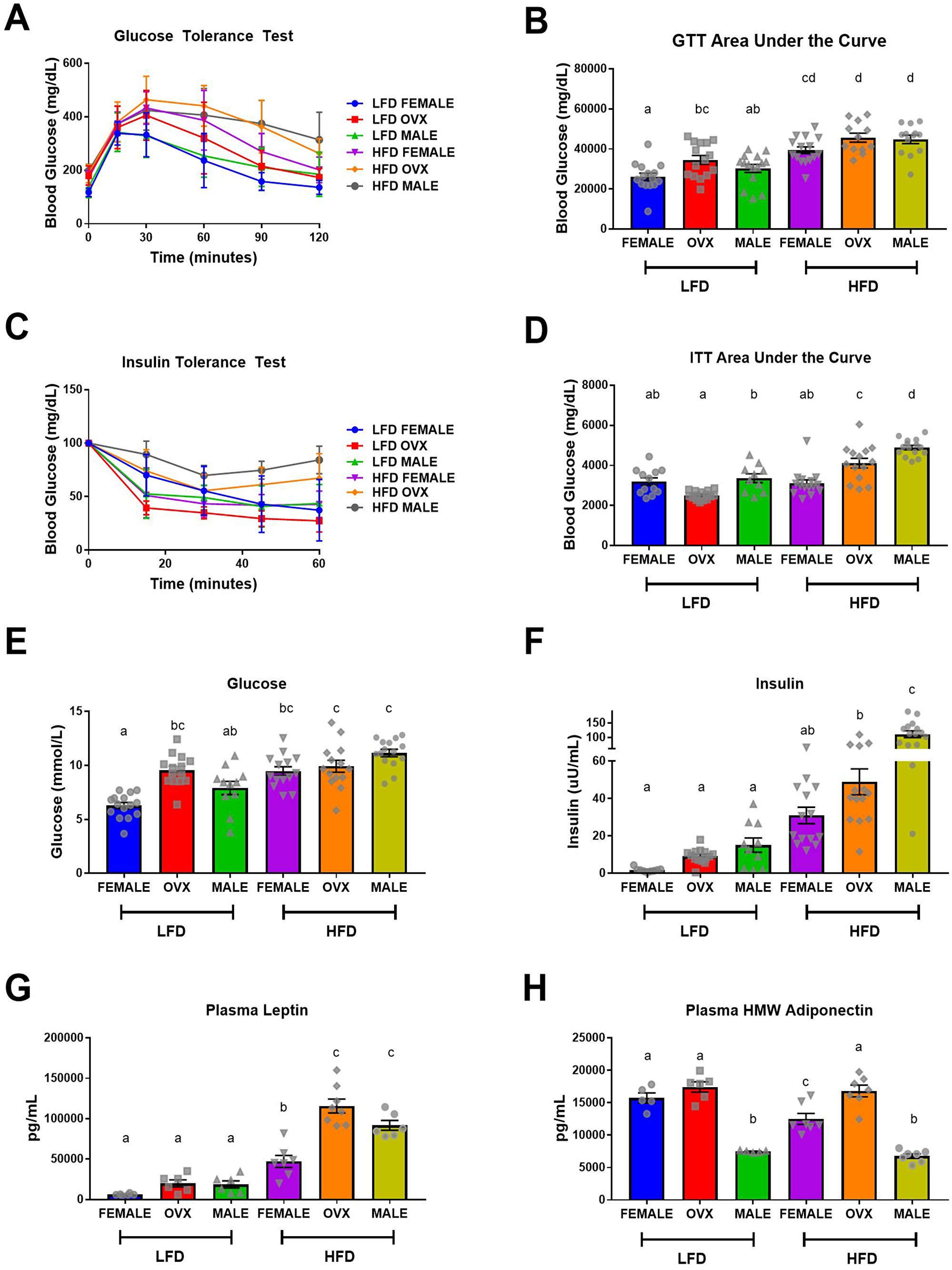 Impaired metabolic function following high-fat diet feeding.