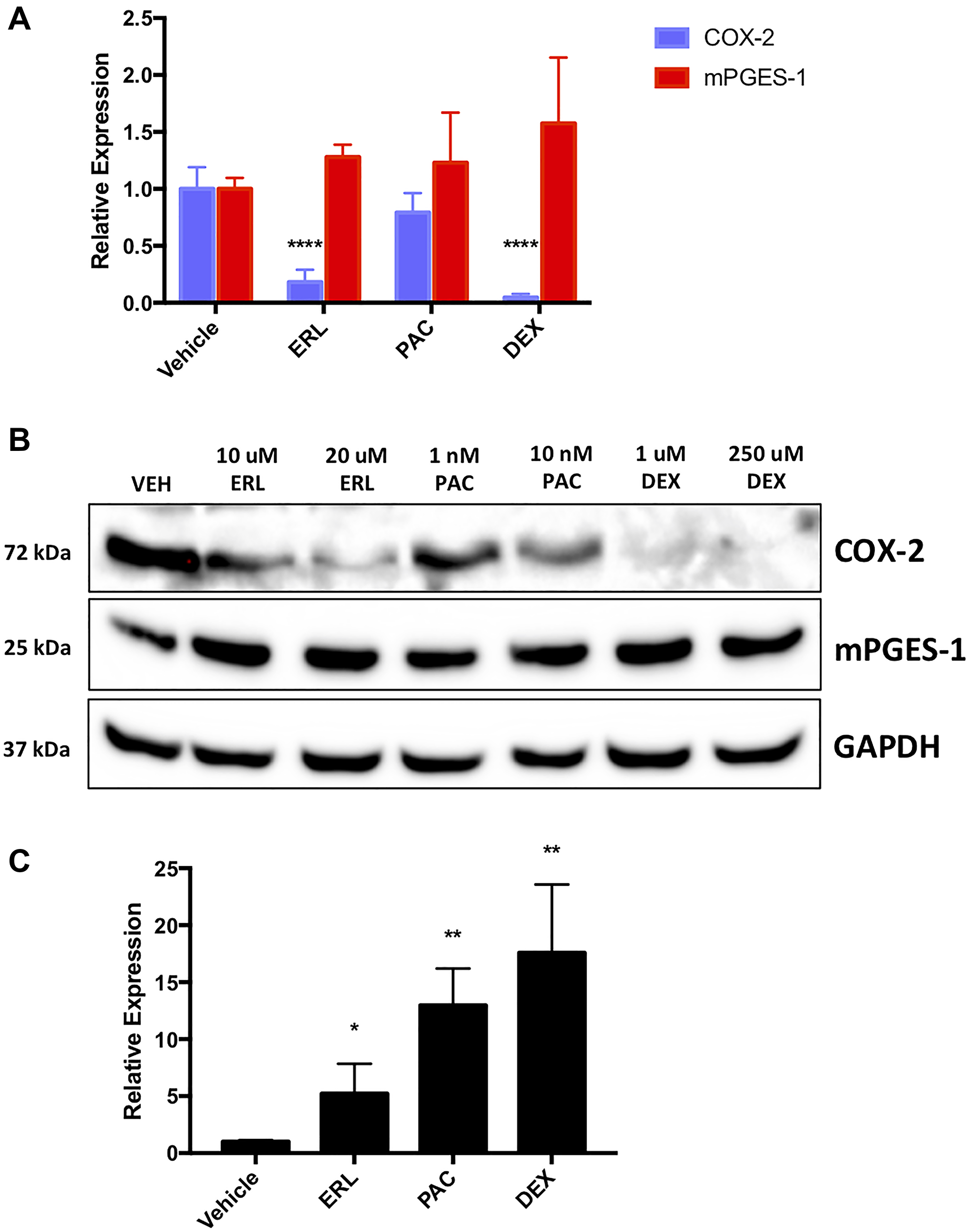 Chemotherapies regulate naïve lung cancer cell COX-2, mPGES-1 and miR-708-5p expression.