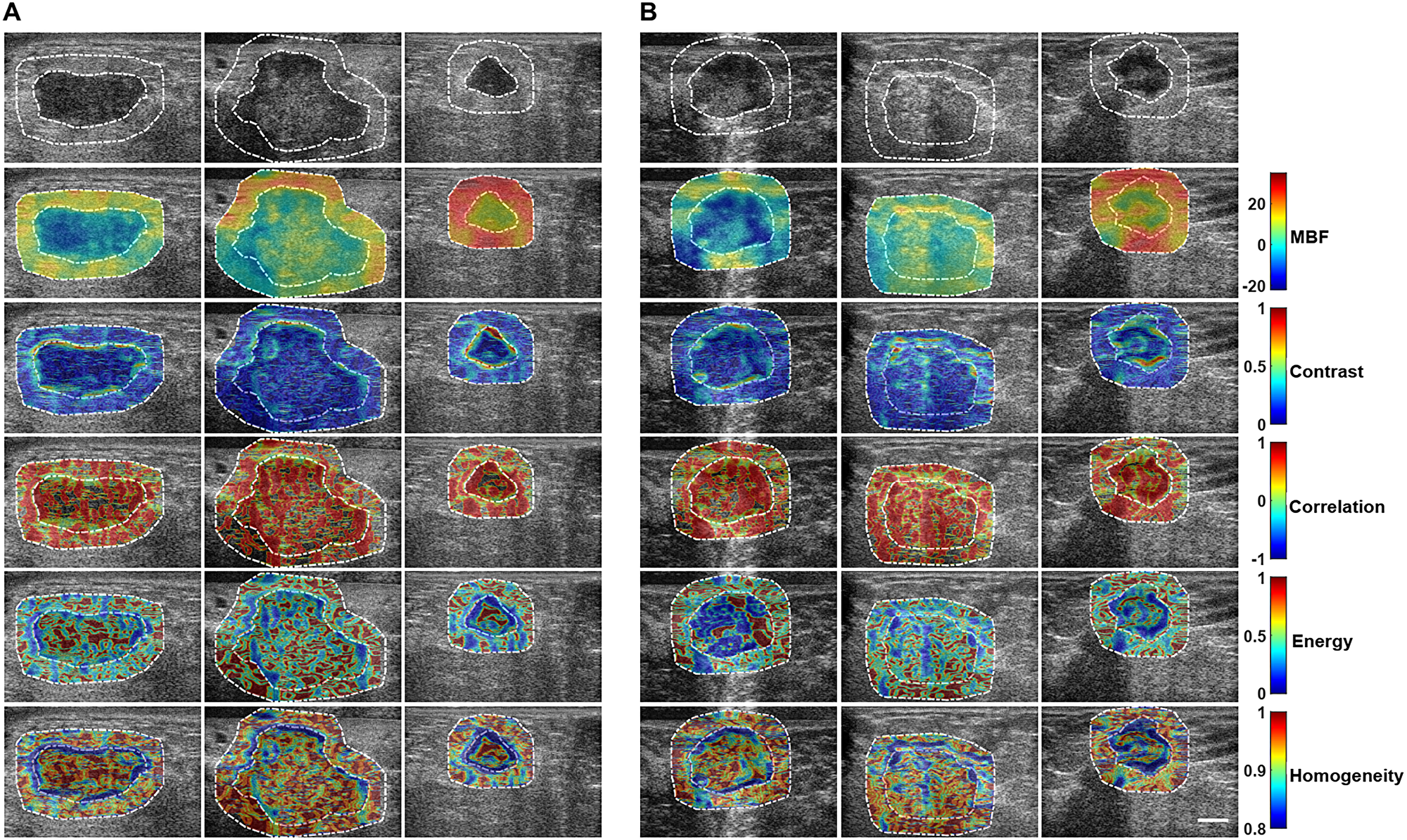 Texture maps for the two response groups.