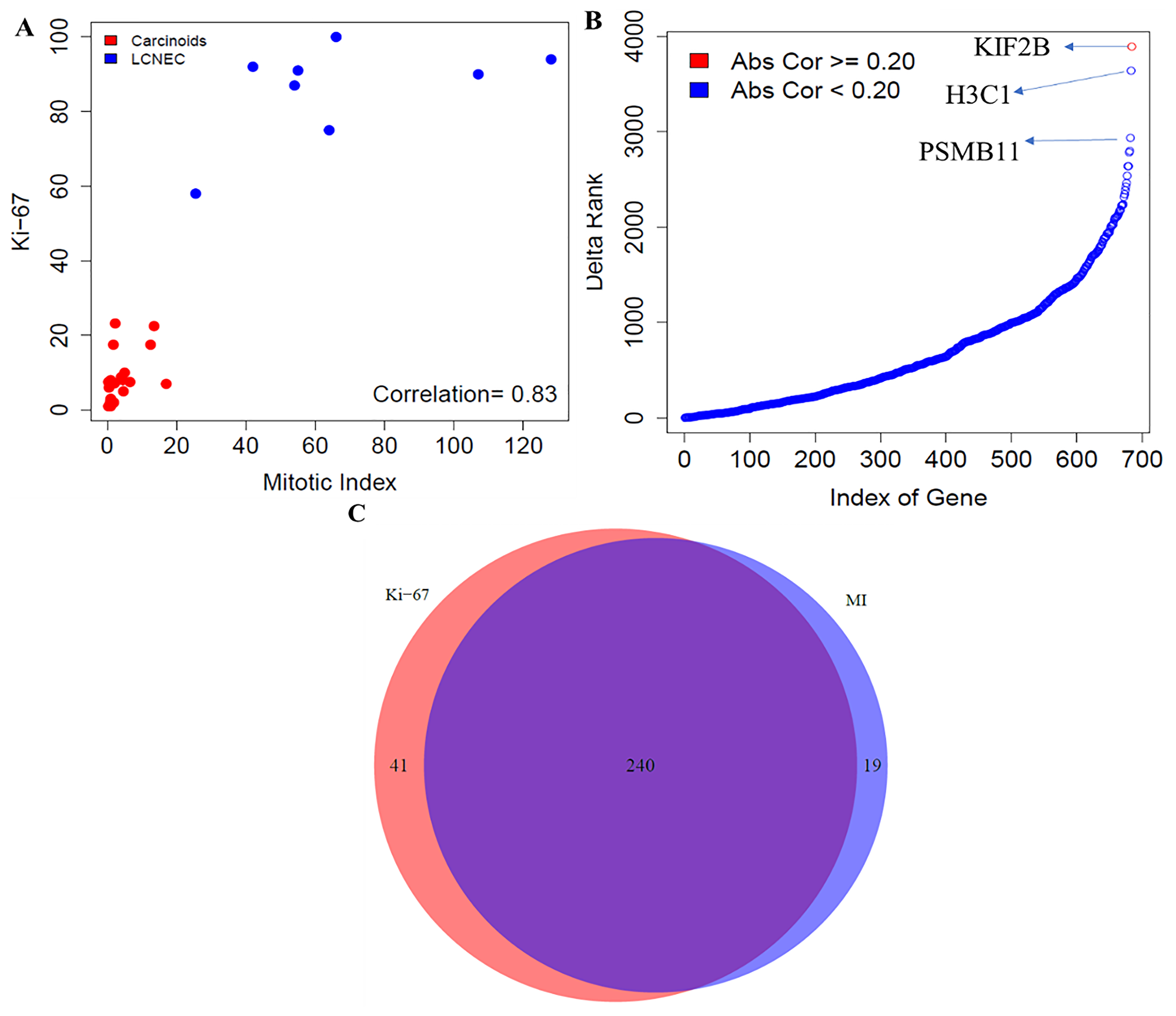 Comparative analysis between mitotic index and Ki-67 in neuroendocrine samples.