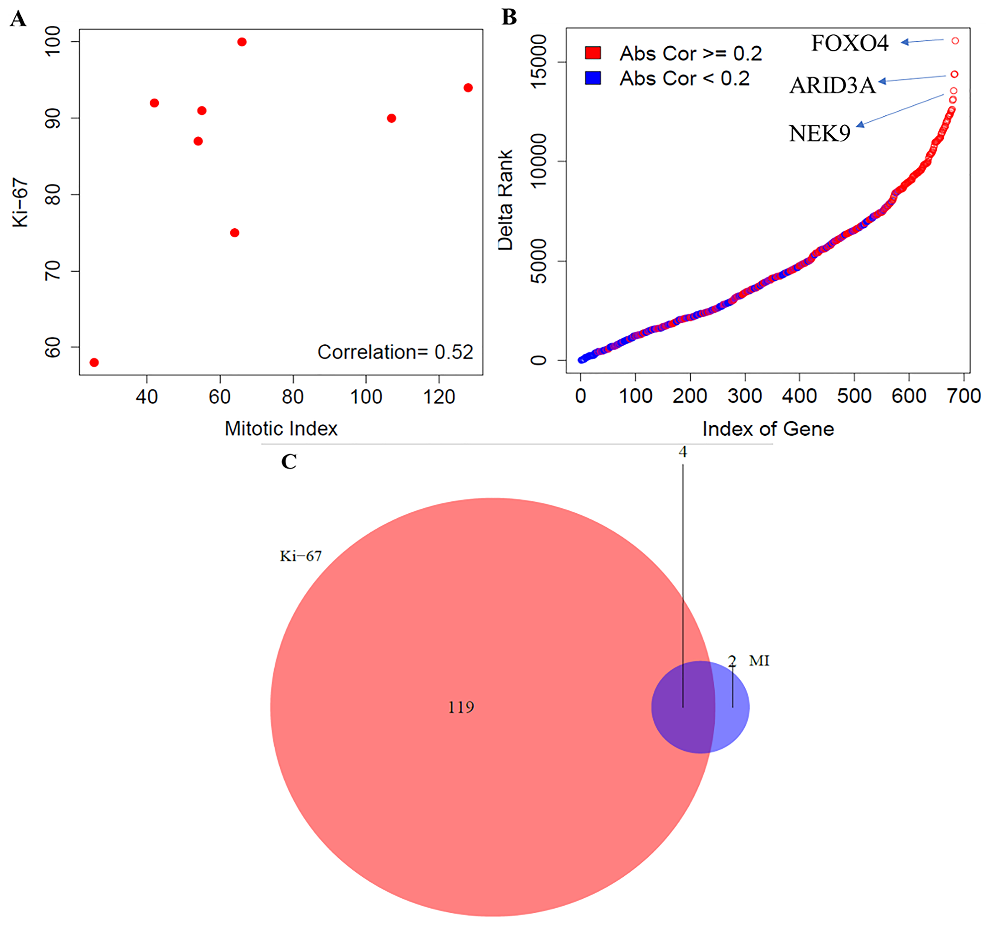 Comparative analysis between mitotic index and Ki-67 in LCNEC.