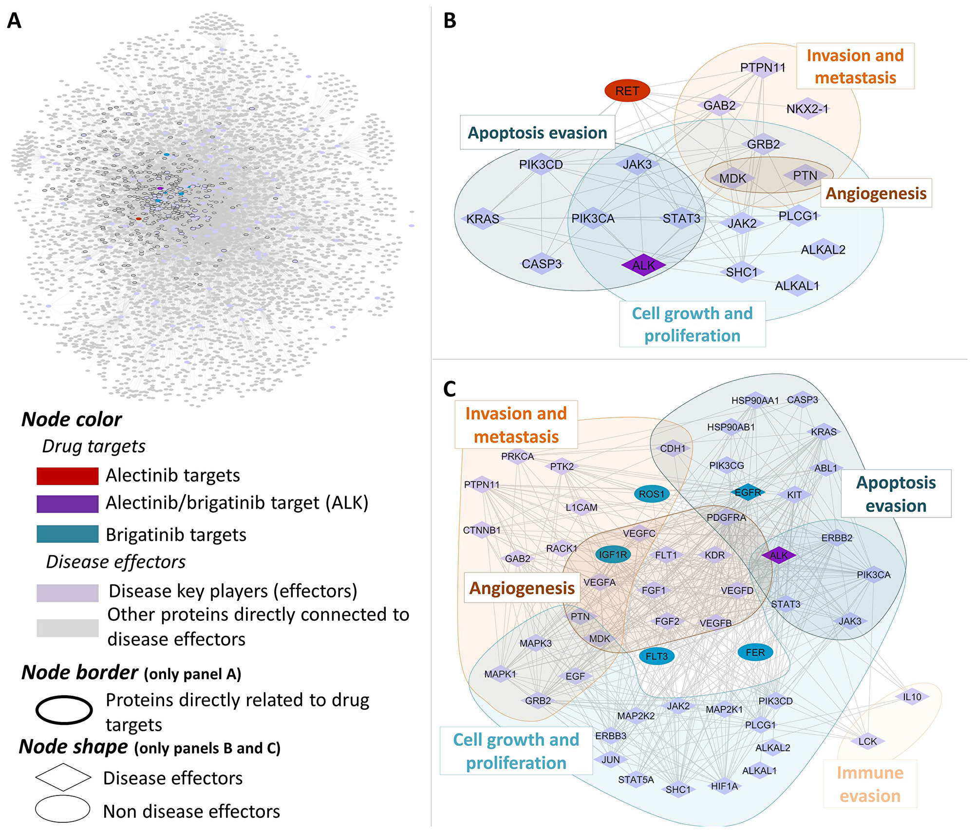 Human protein networks around ALK+ NSCLC molecular pathophysiology.