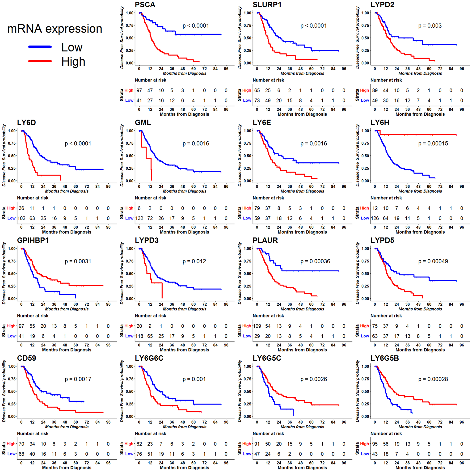 Disease free survival (DFS) outcome for 30 LY6 genes was analyzed using the RNA-seq data using the TCGA data.