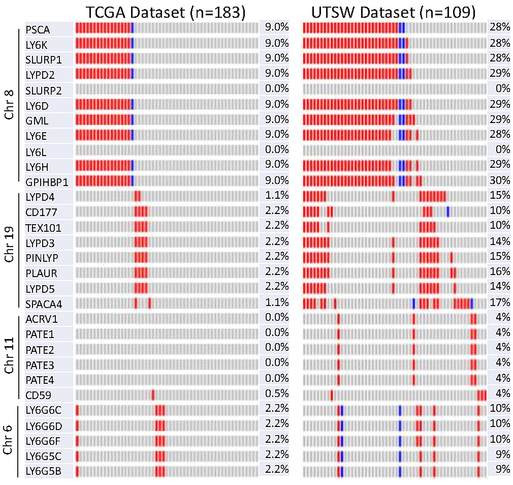 Oncoprint of copy number variation of 30 LY6 genes in TCGA and UTSW dataset using cBioPortal.