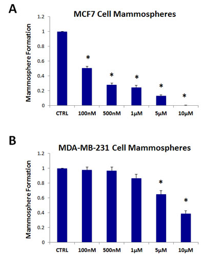 The mitochondrial ATP synthase inhibitor oligomycin A significantly reduces mammosphere formation in both MCF7 and MDA-MB-231 cells.