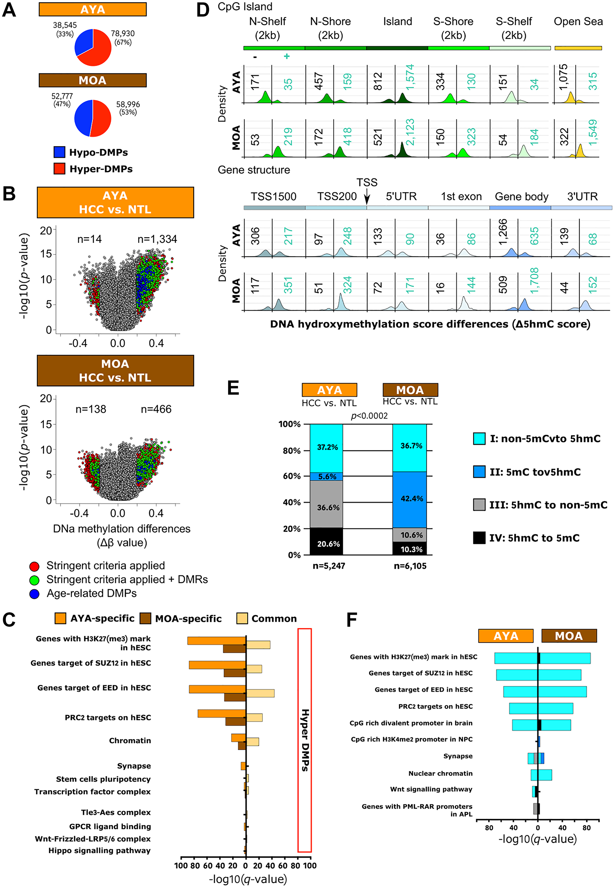 Peruvian HCC is associated with a genome-wide hypermethylation pattern, and DNA hydroxymethylation represents a relevant epigenetic mark in Peruvian HCC.