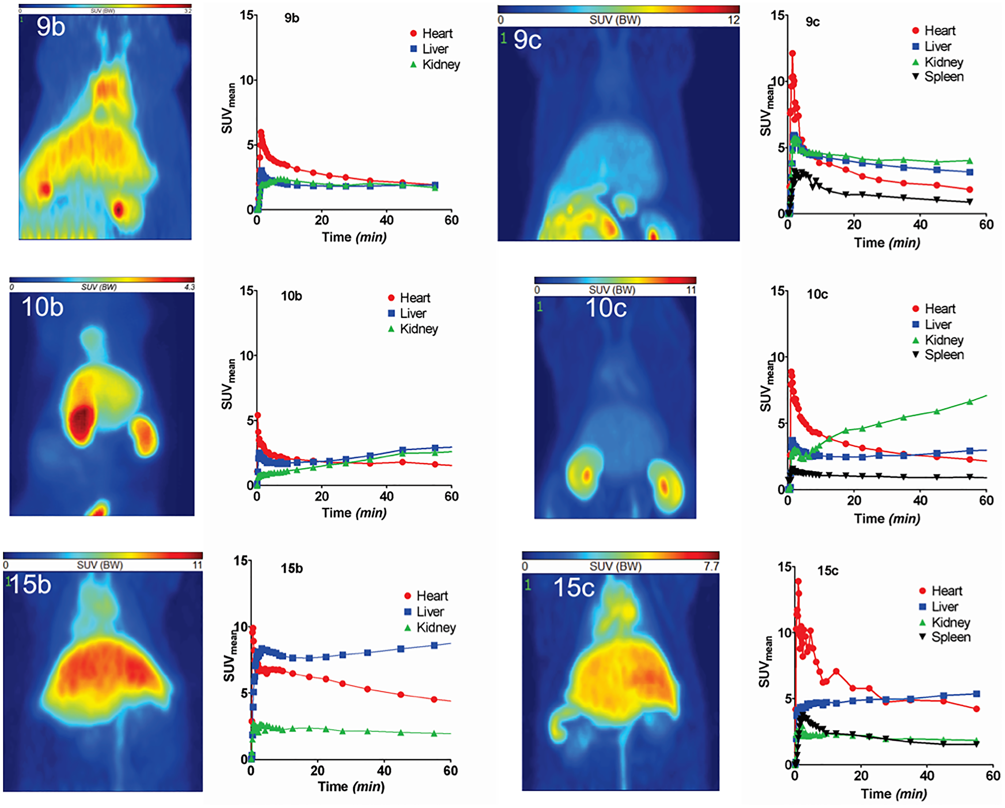 PET studies of 68Ga- and 64Cu-labeled radiotracers in healthy rats.