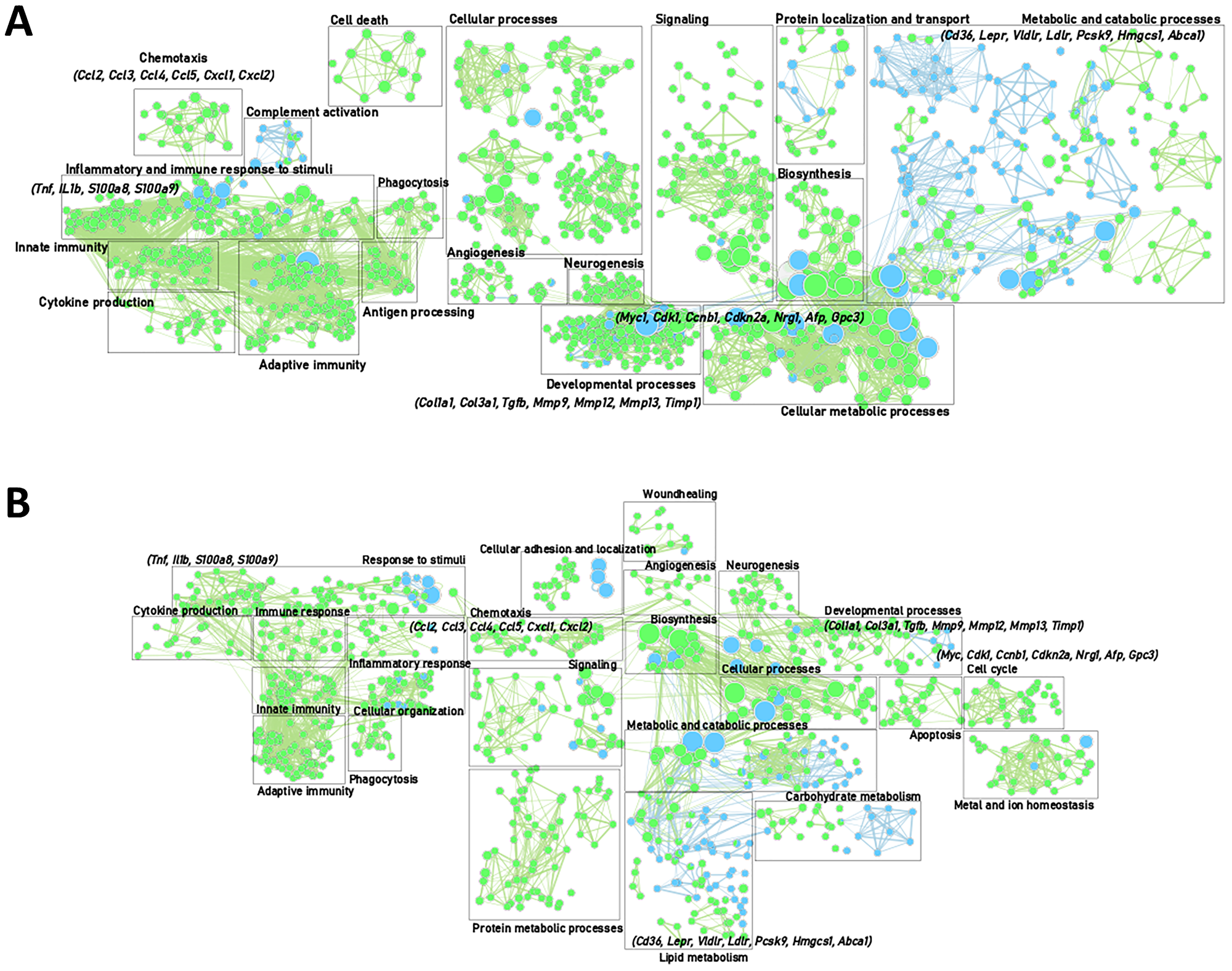 Gene enrichment mapping of significantly (FDR 0.01) up- or downregulated (green and blue, respectively).