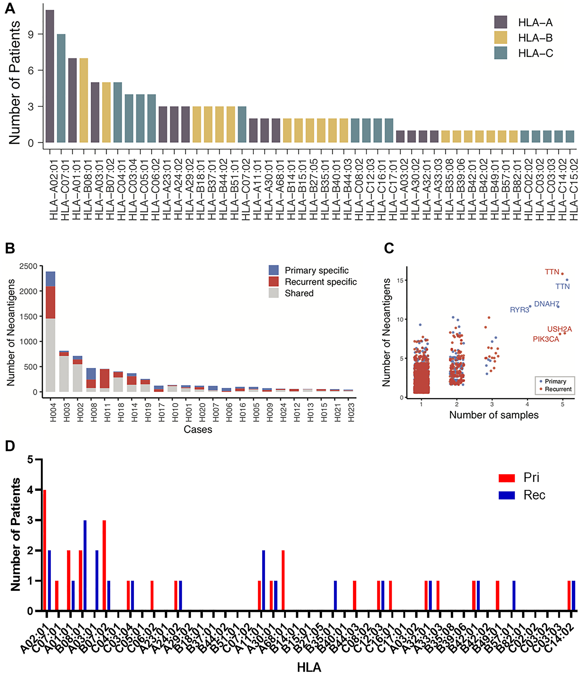 Neoantigen burden and evolution.