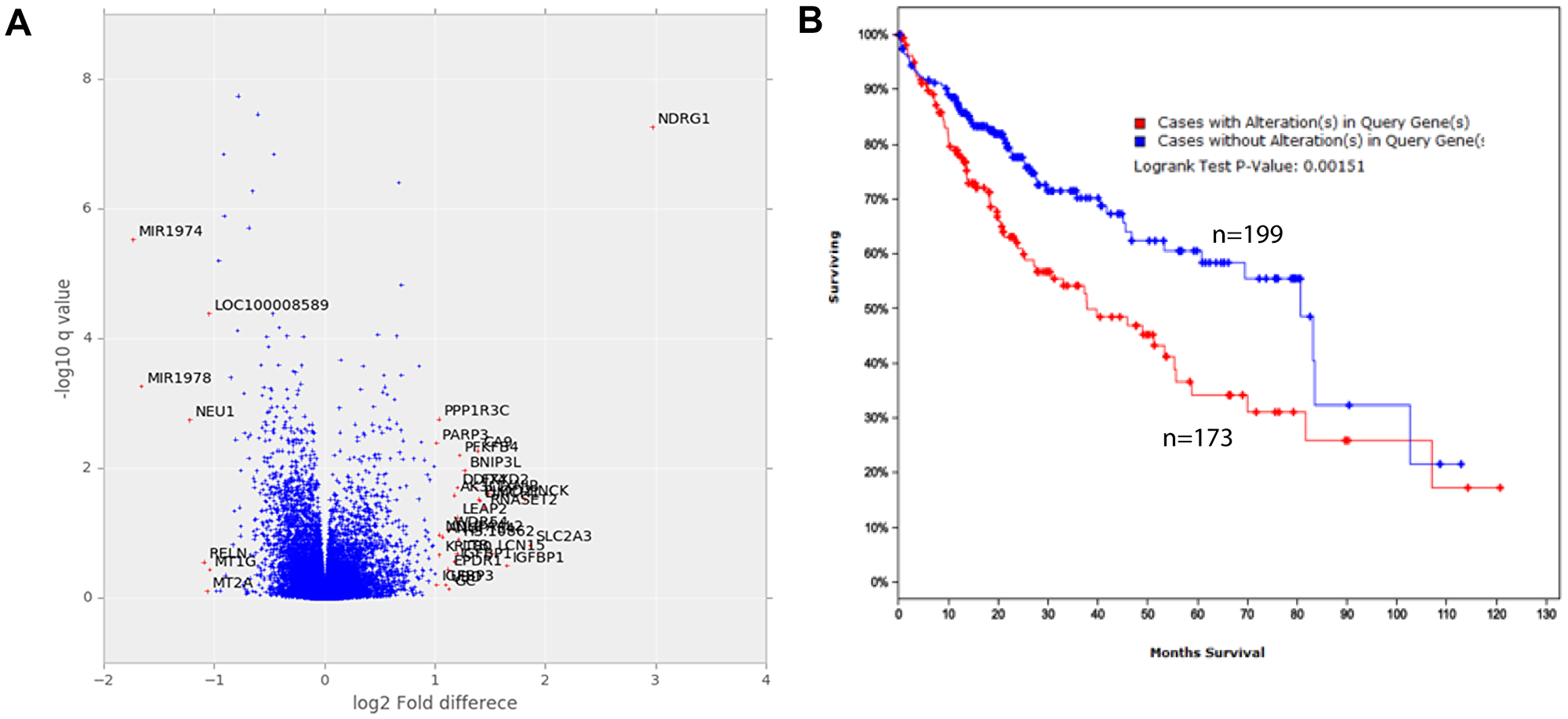 Gene expression of cells cultured in standard and native conditions.