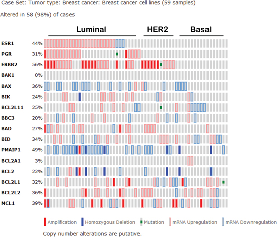 Expression signature of Bcl-2 family proteins in human breast cancer cell lines according to the cancer cell line encyclopedia as curated by the cancer genome atlas.